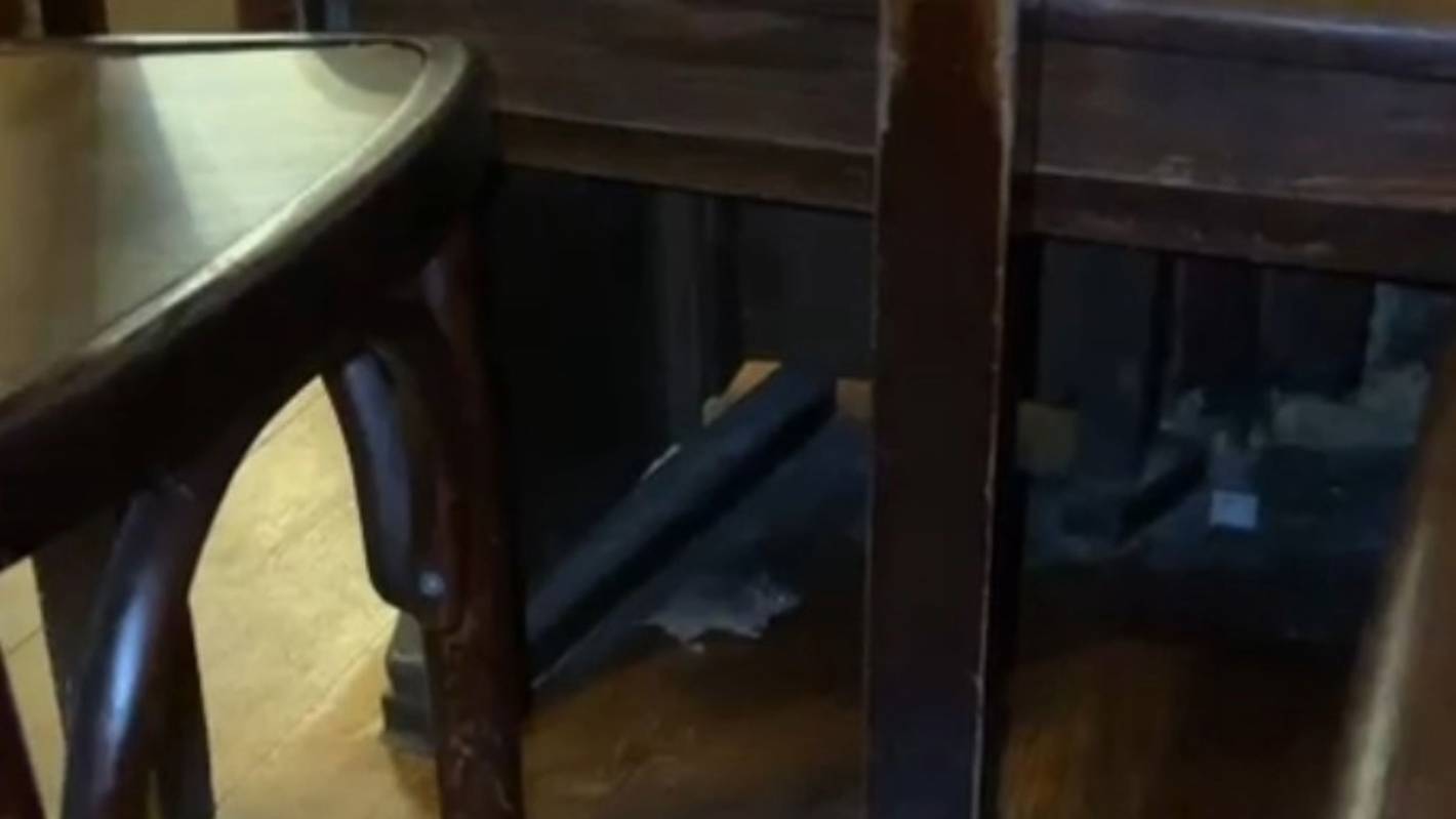 Maus im Brauhaus
