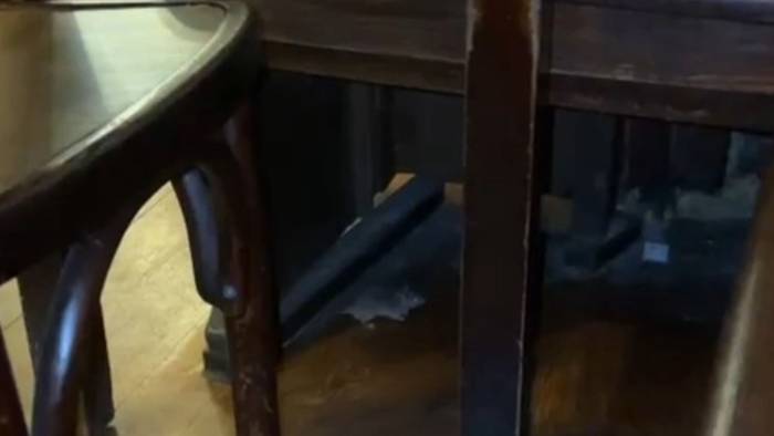 Maus im Brauhaus