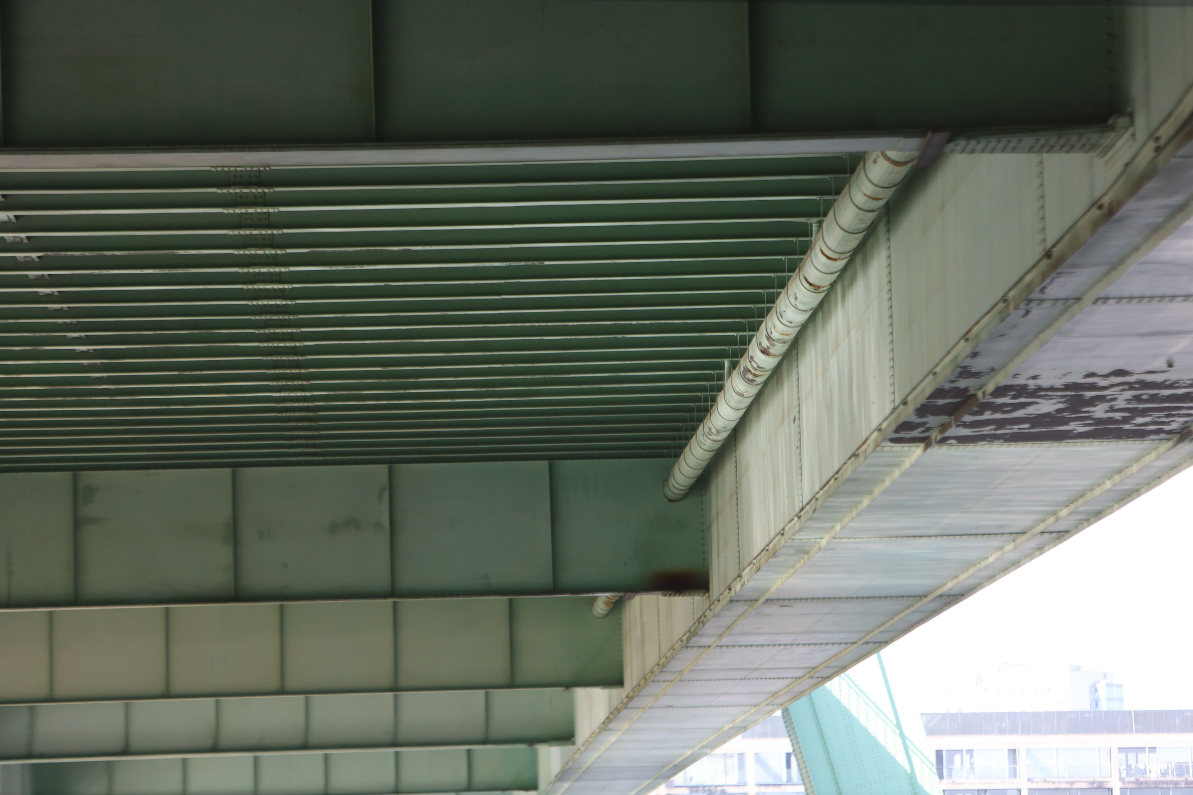 Blick auf die Severinsbrücke von unten, hier im Frühjahr.