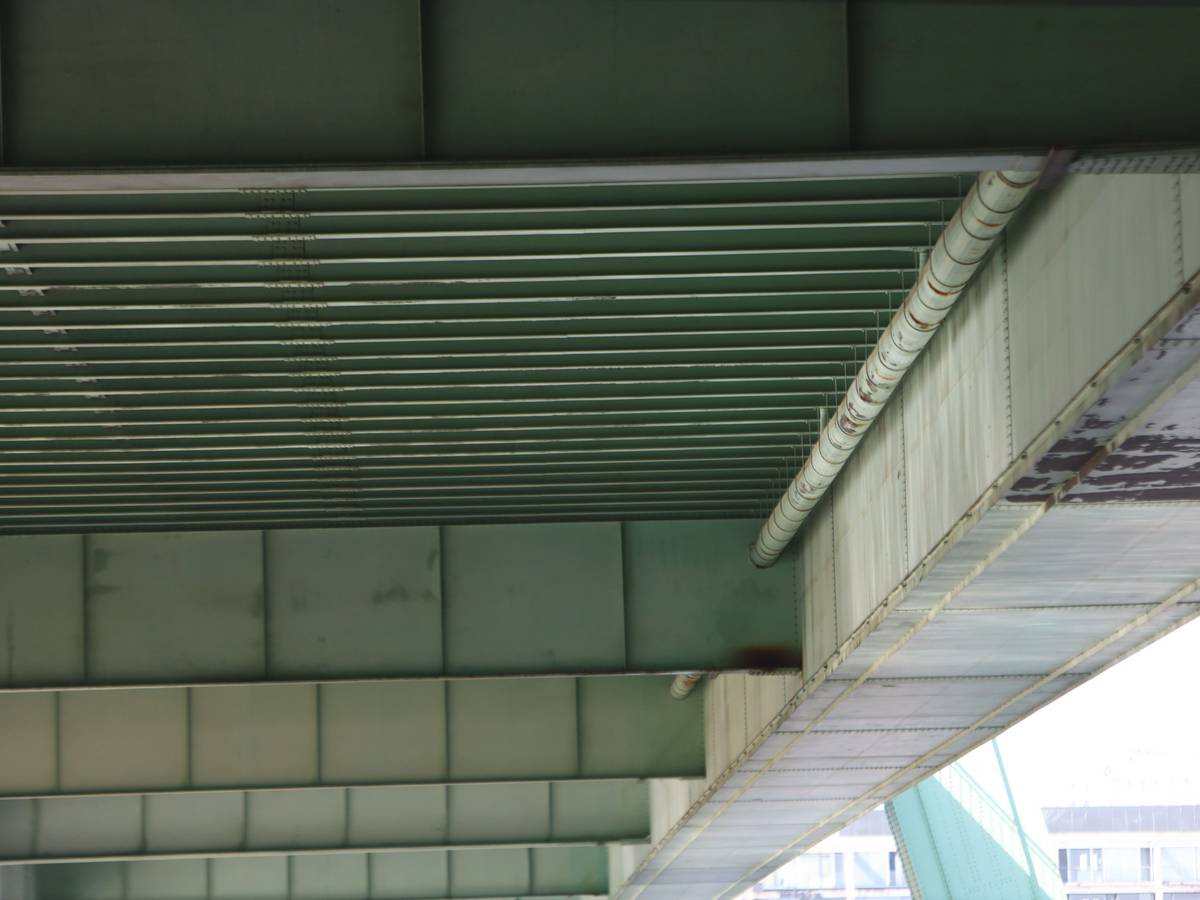 Blick auf die Severinsbrücke von unten, hier im Frühjahr.