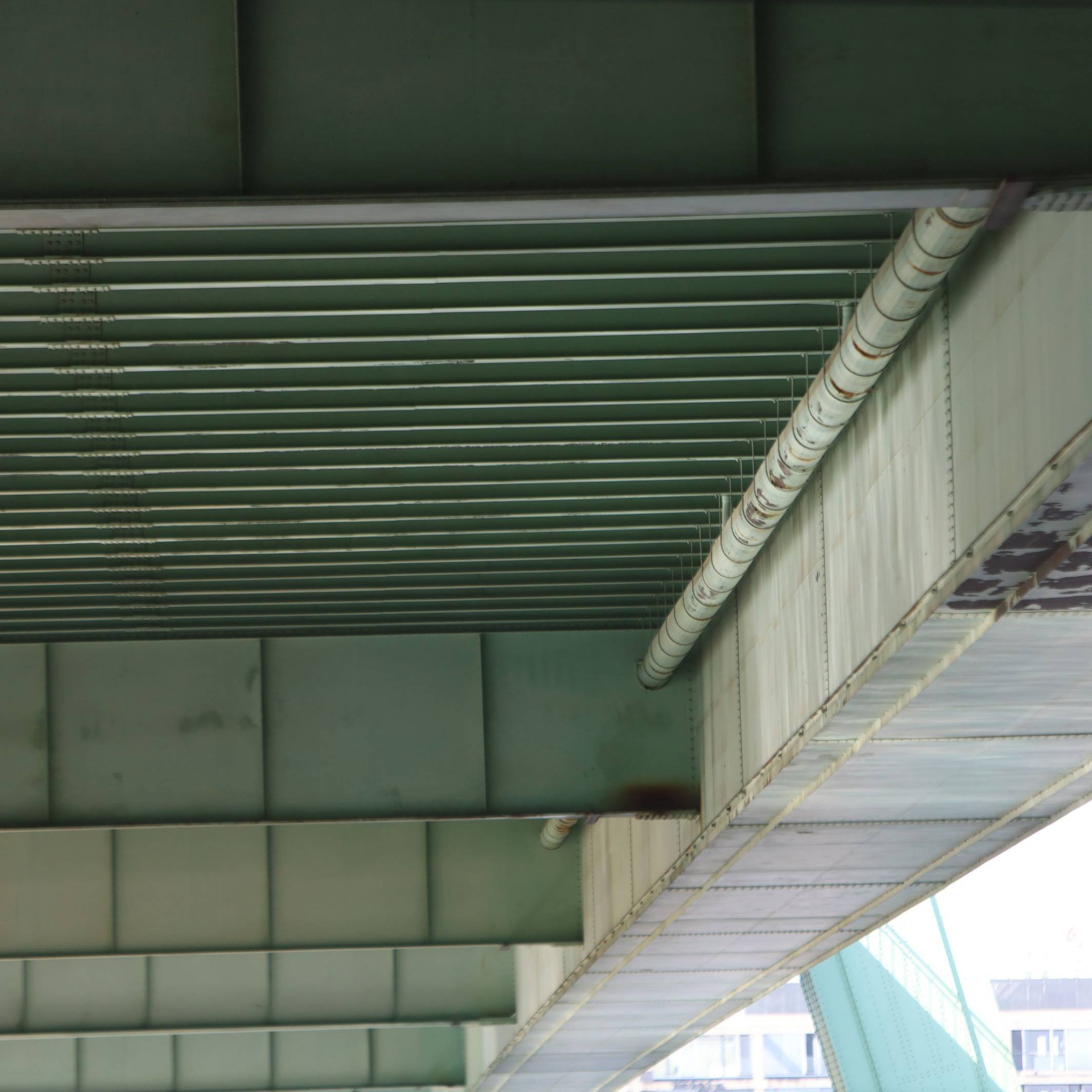 Blick auf die Severinsbrücke von unten, hier im Frühjahr.