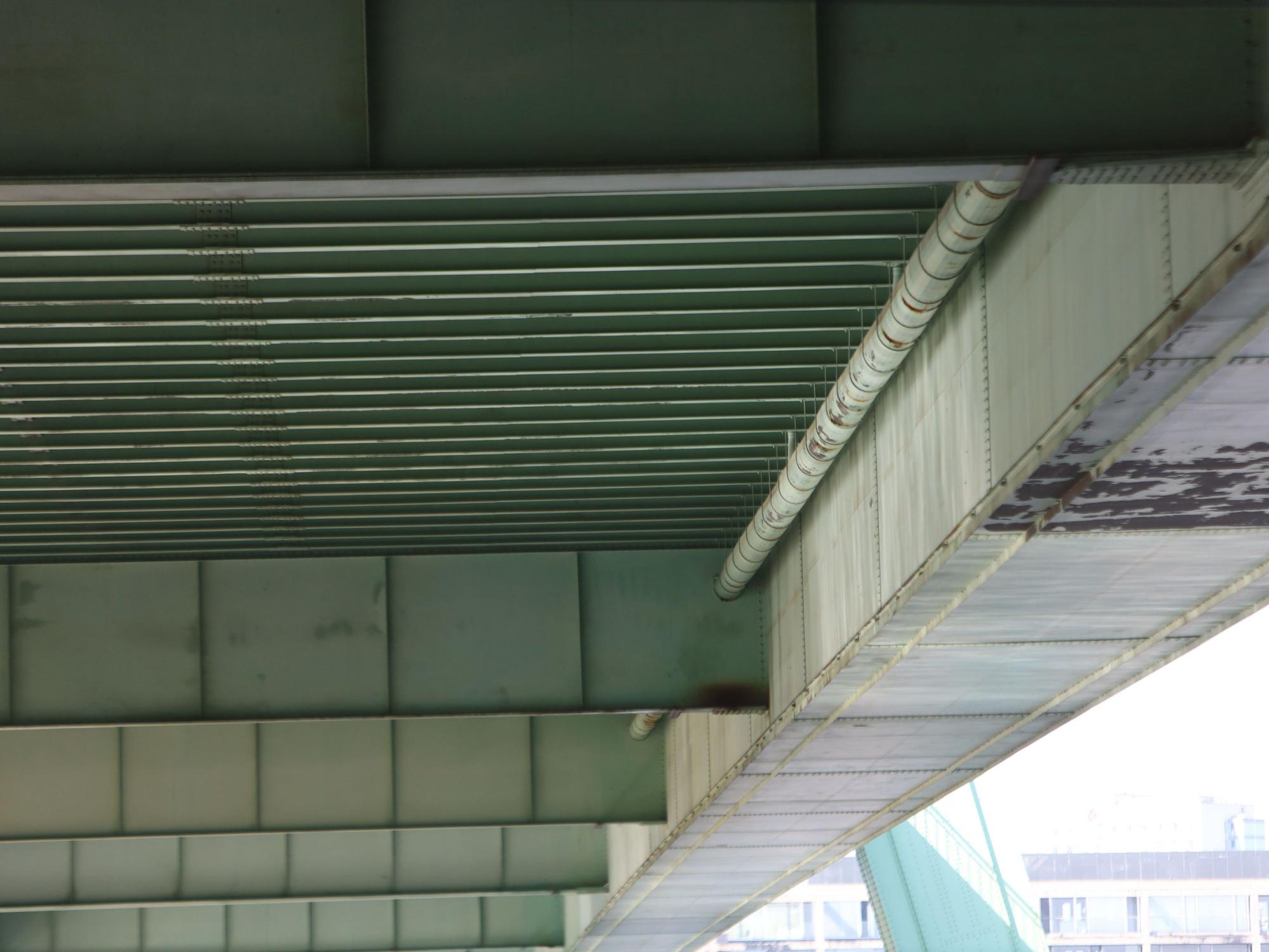 Blick auf die Severinsbrücke von unten, hier im Frühjahr.
