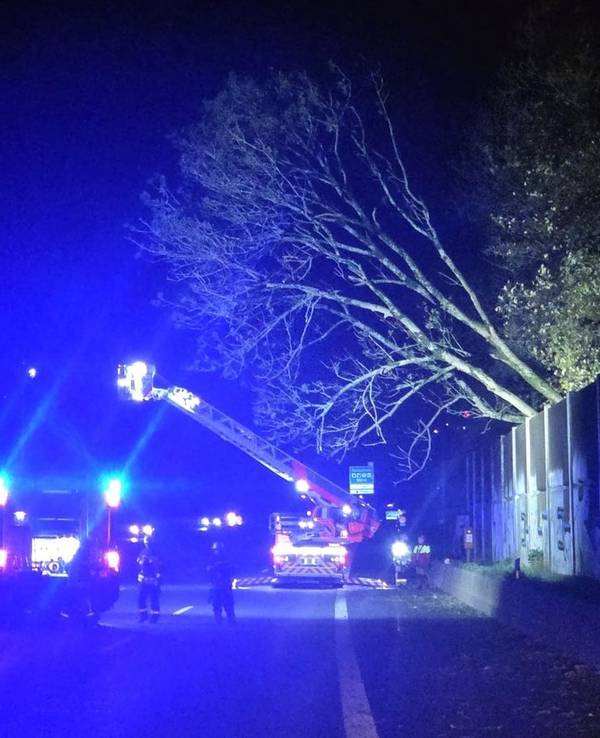 Sturmtief sorgt für Feuerwehreinsätze wegen umgestürzter Bäume in Remscheid.