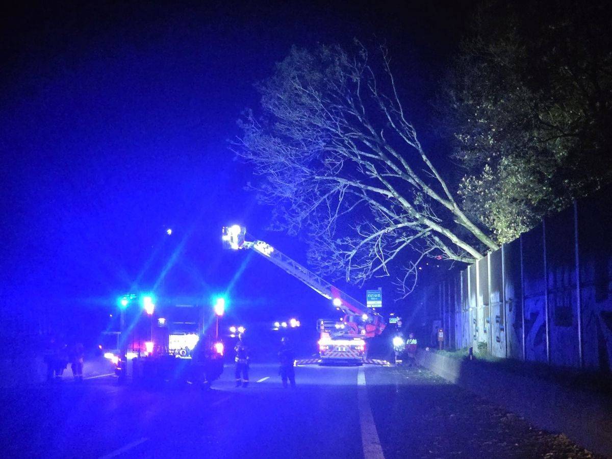 Sturmtief sorgt für Feuerwehreinsätze wegen umgestürzter Bäume in Remscheid.