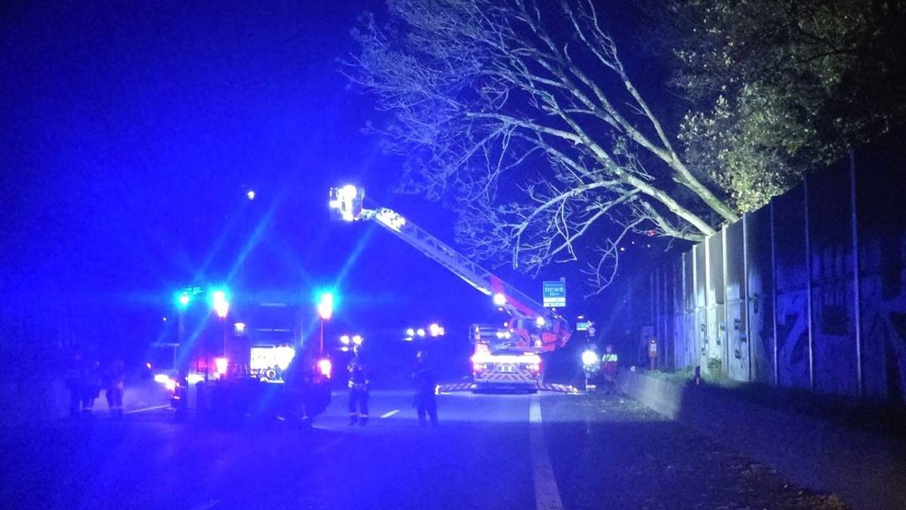 Sturmtief sorgt für Feuerwehreinsätze wegen umgestürzter Bäume in Remscheid.