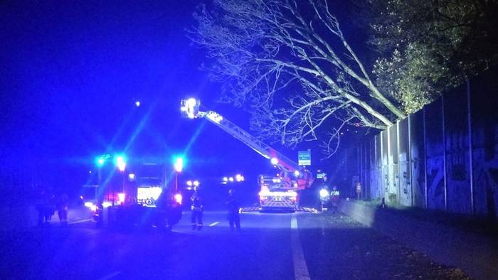 Sturmtief sorgt für Feuerwehreinsätze wegen umgestürzter Bäume in Remscheid.