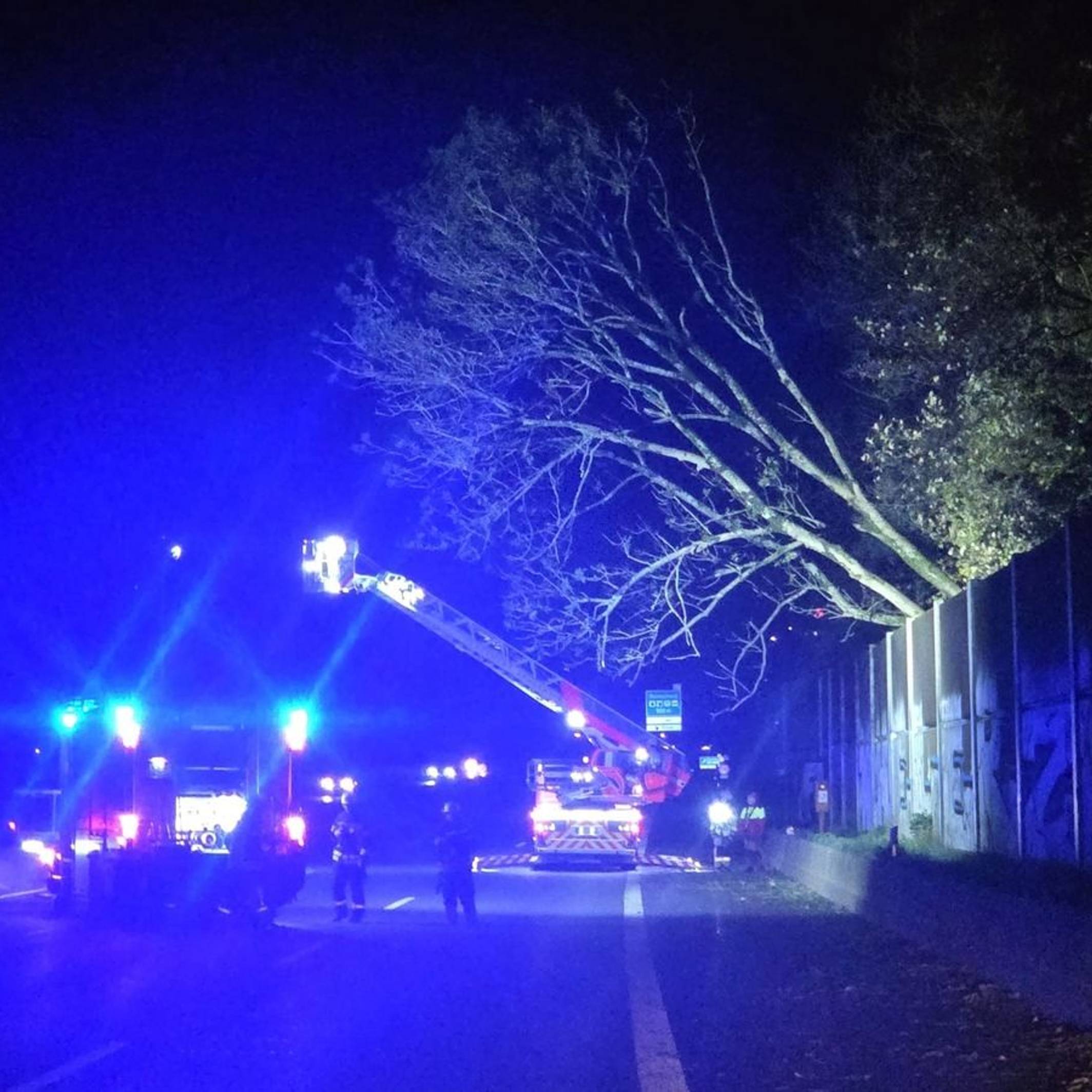 Sturmtief sorgt für Feuerwehreinsätze wegen umgestürzter Bäume in Remscheid.
