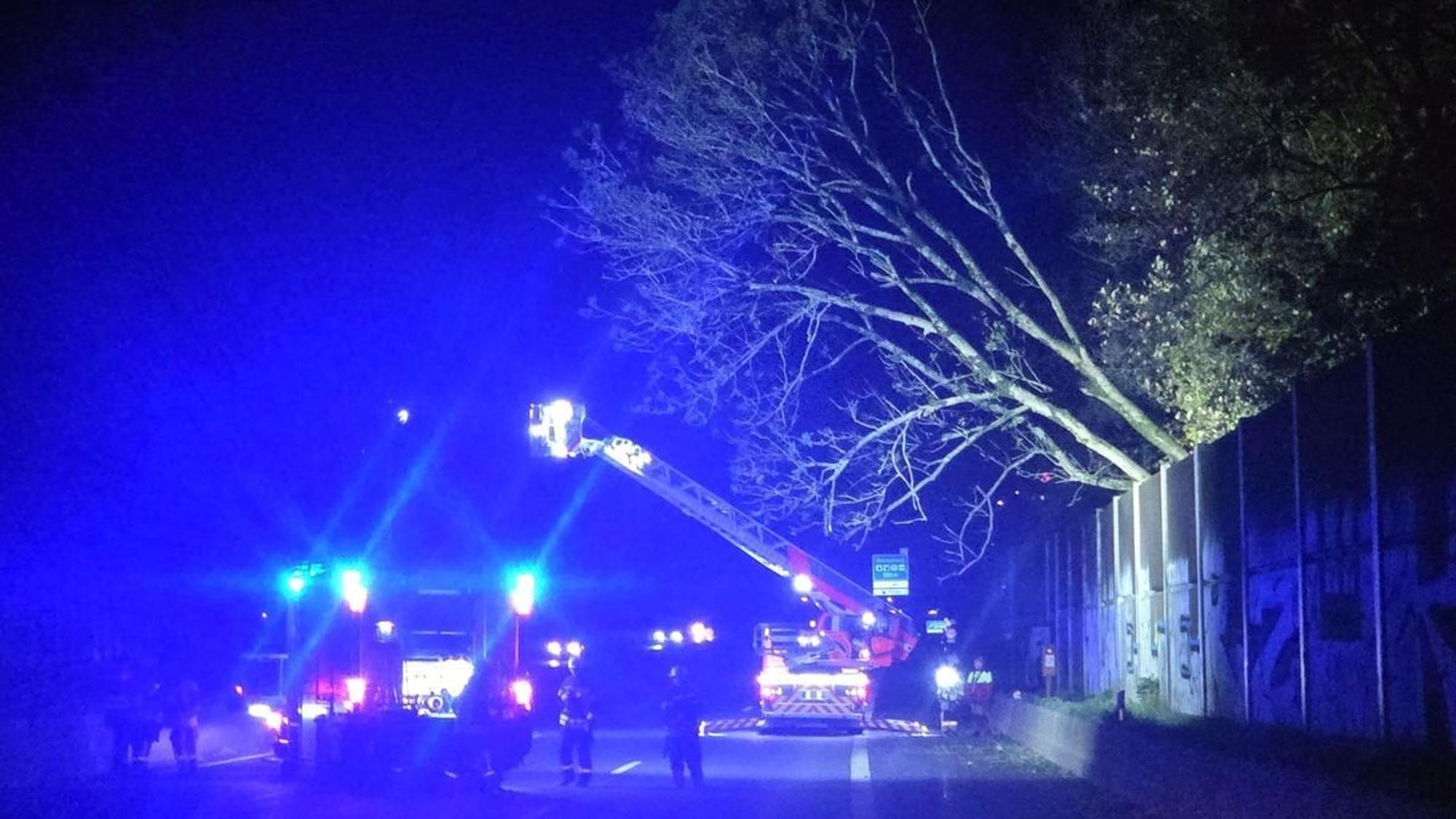 Sturmtief sorgt für Feuerwehreinsätze wegen umgestürzter Bäume in Remscheid.