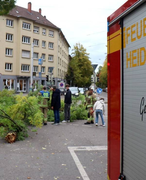 Ein Einsatzfahrzeug der Heidelberger Feuerwehr steht neben einem umgestürzten Baum. Dem Deutschen Wetterdienst (DWD) zufolge brachte Sturmtief „Luise“ (internationaler Name: „Austen“) Teilen Deutschlands eine windige bis stürmische Nacht.