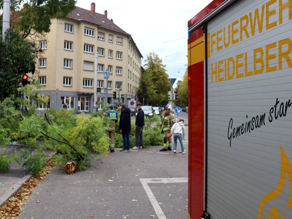 Ein Einsatzfahrzeug der Heidelberger Feuerwehr steht neben einem umgestürzten Baum. Dem Deutschen Wetterdienst (DWD) zufolge brachte Sturmtief „Luise“ (internationaler Name: „Austen“) Teilen Deutschlands eine windige bis stürmische Nacht.