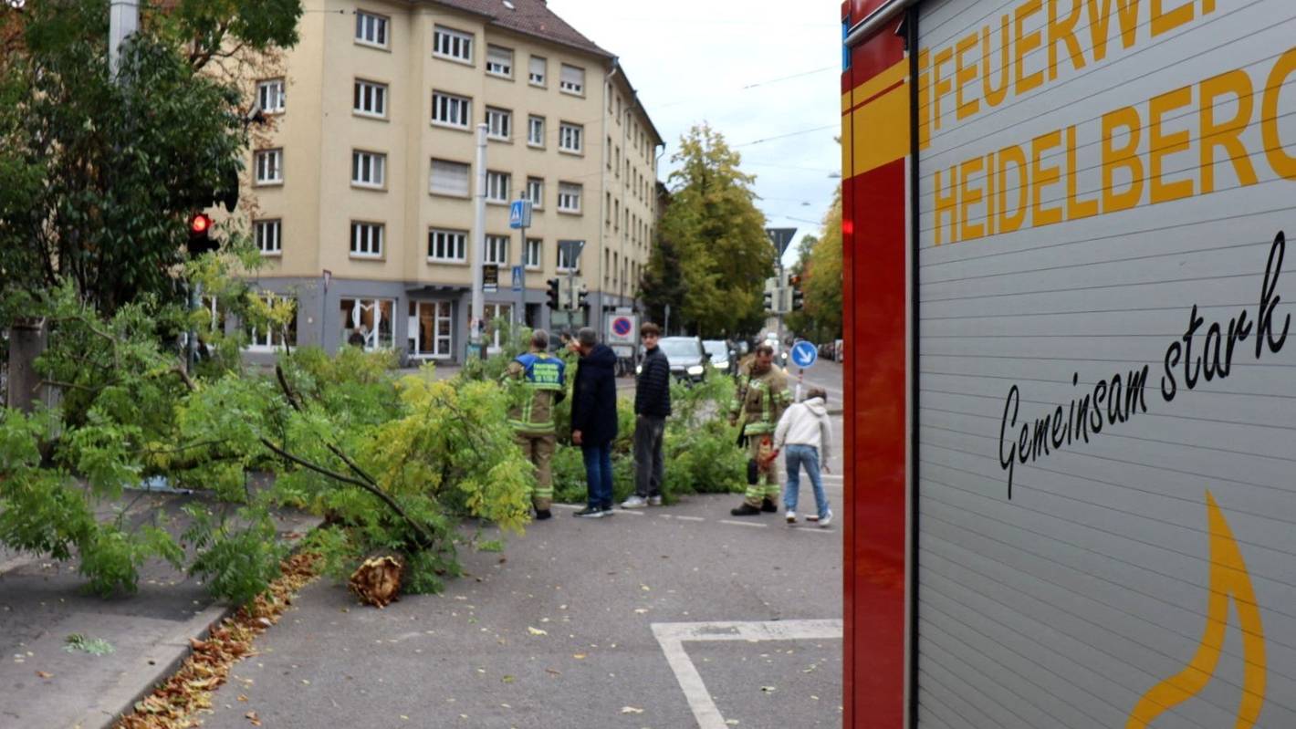Ein Einsatzfahrzeug der Heidelberger Feuerwehr steht neben einem umgestürzten Baum. Dem Deutschen Wetterdienst (DWD) zufolge brachte Sturmtief „Luise“ (internationaler Name: „Austen“) Teilen Deutschlands eine windige bis stürmische Nacht.