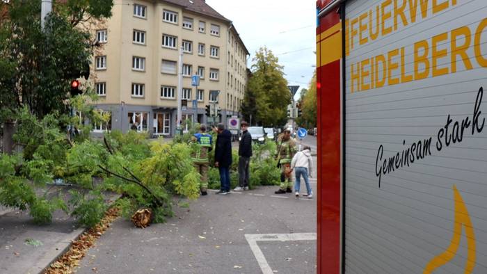 Ein Einsatzfahrzeug der Heidelberger Feuerwehr steht neben einem umgestürzten Baum. Dem Deutschen Wetterdienst (DWD) zufolge brachte Sturmtief „Luise“ (internationaler Name: „Austen“) Teilen Deutschlands eine windige bis stürmische Nacht.