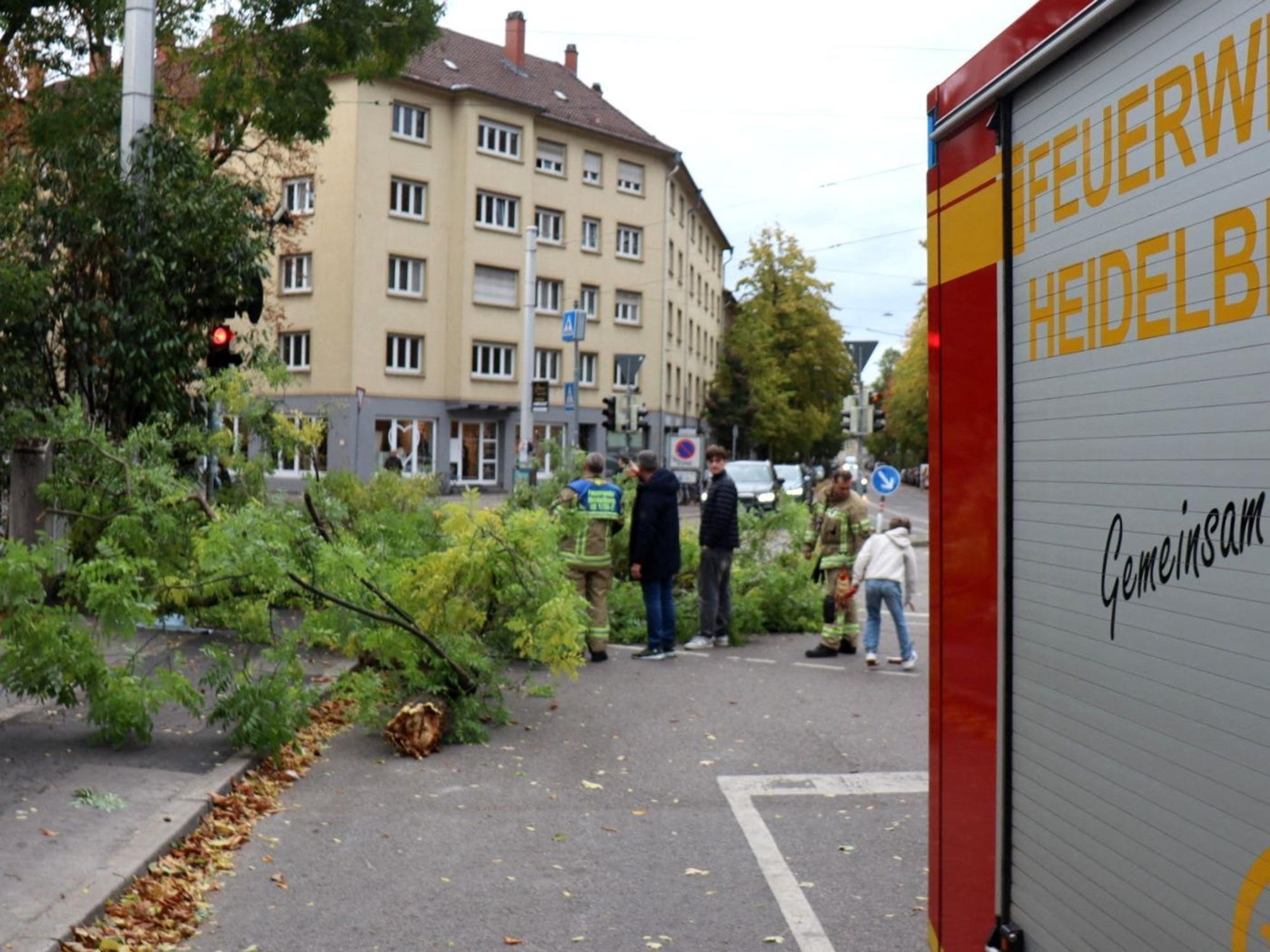 Ein Einsatzfahrzeug der Heidelberger Feuerwehr steht neben einem umgestürzten Baum. Dem Deutschen Wetterdienst (DWD) zufolge brachte Sturmtief „Luise“ (internationaler Name: „Austen“) Teilen Deutschlands eine windige bis stürmische Nacht.