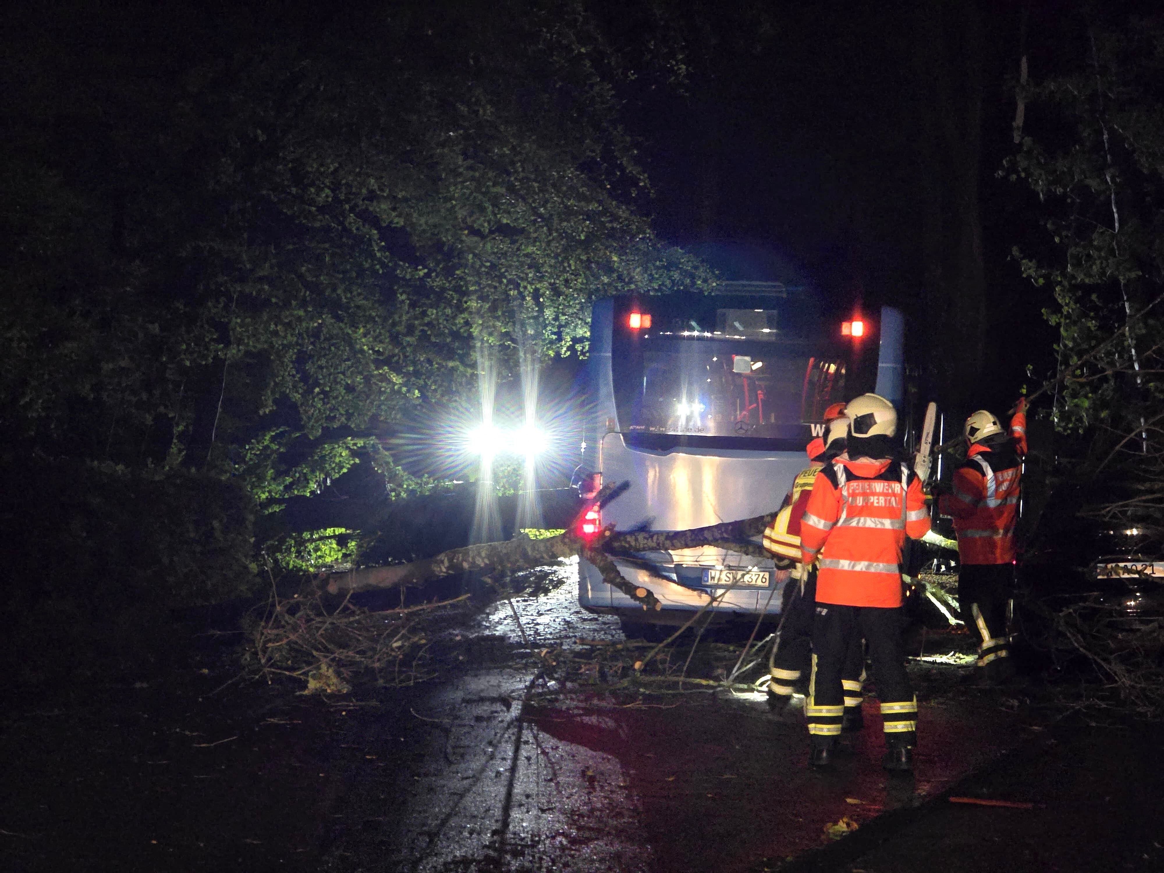 Ein Linienbus der Stadtwerke Wuppertal ist eingekeilt zwischen mehreren umgestürzten Bäumen auf der Bremer Straße.