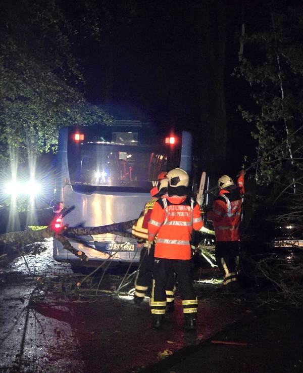 Ein Linienbus der Stadtwerke Wuppertal ist eingekeilt zwischen mehreren umgestürzten Bäumen auf der Bremer Straße.