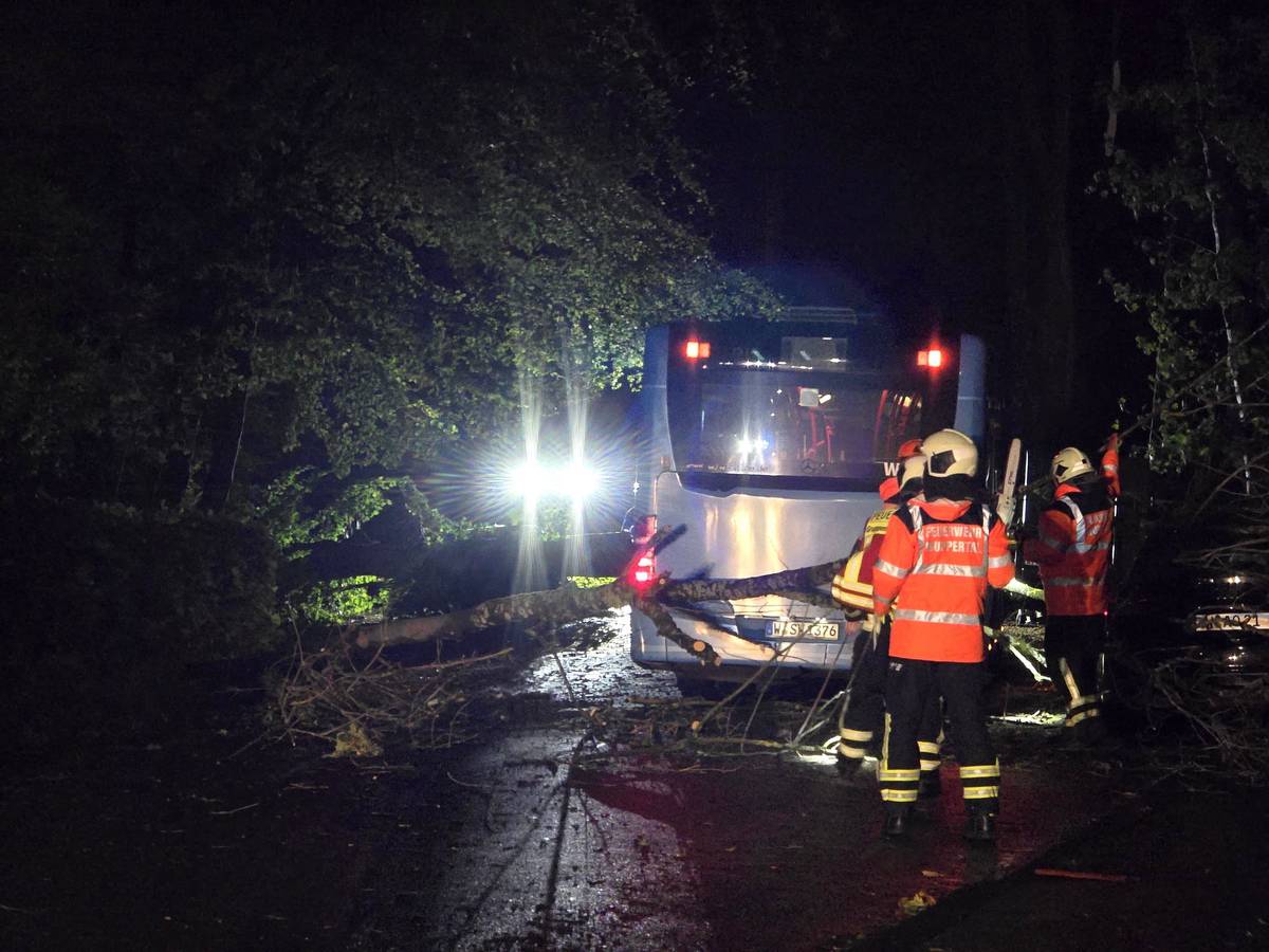 Ein Linienbus der Stadtwerke Wuppertal ist eingekeilt zwischen mehreren umgestürzten Bäumen auf der Bremer Straße.