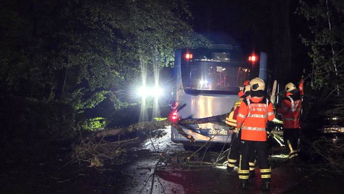 Ein Linienbus der Stadtwerke Wuppertal ist eingekeilt zwischen mehreren umgestürzten Bäumen auf der Bremer Straße.
