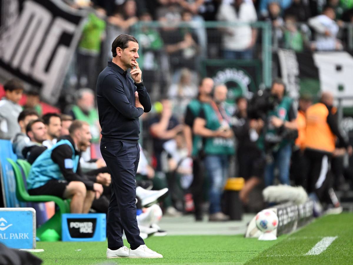 Trainer Gerardo Seoane an der Seitenlinie