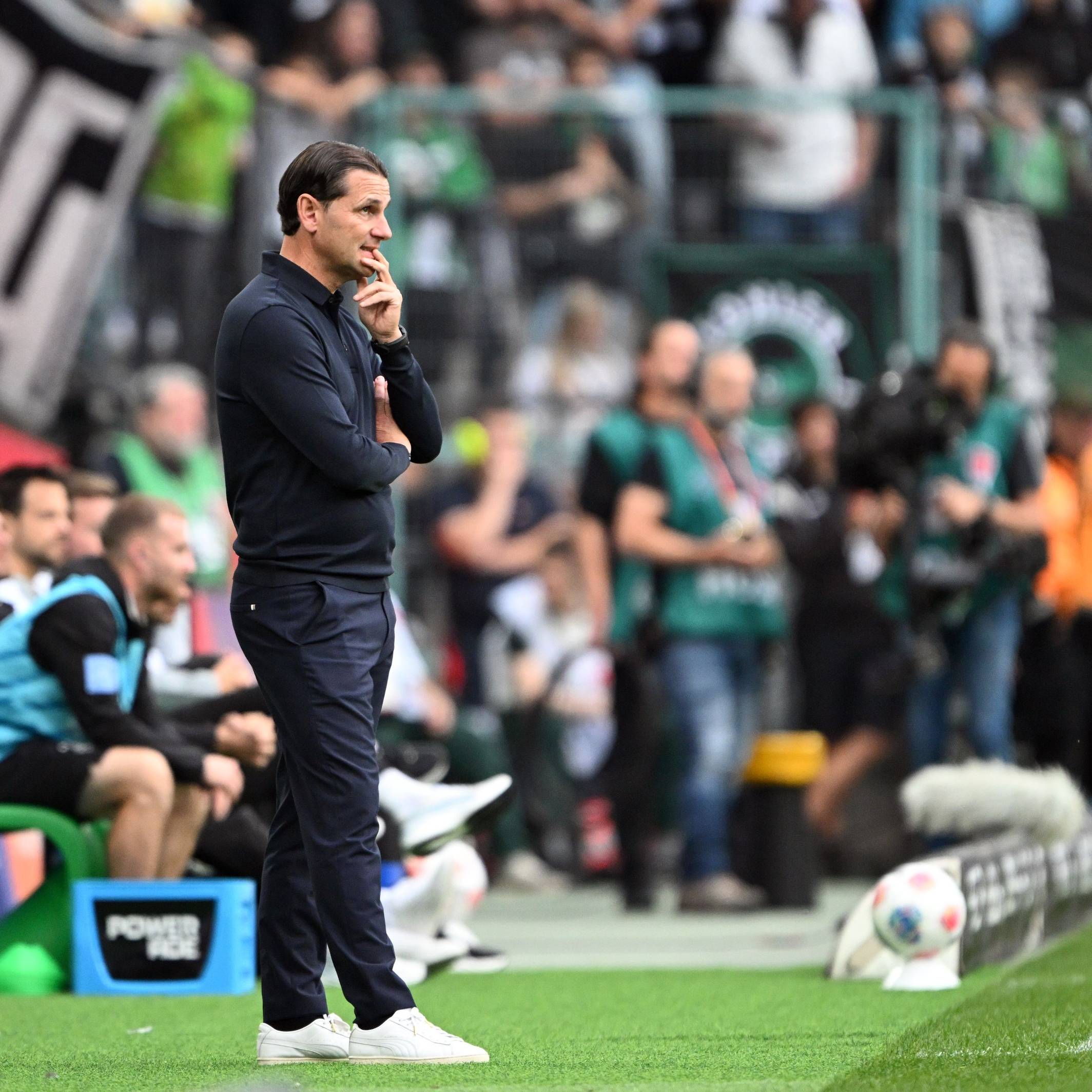 Trainer Gerardo Seoane an der Seitenlinie
