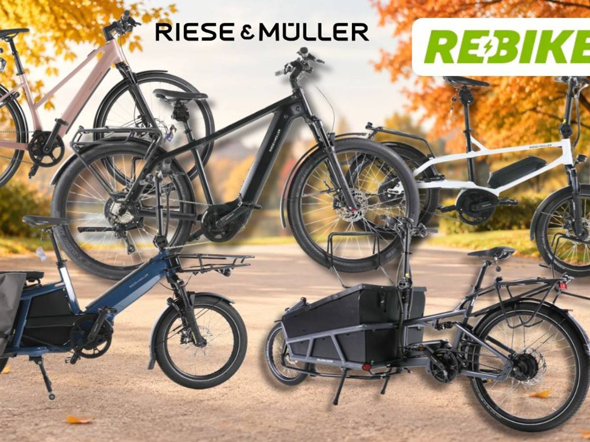 Riese & Müller E-Bikes vor Herbsthintergrund im Park.