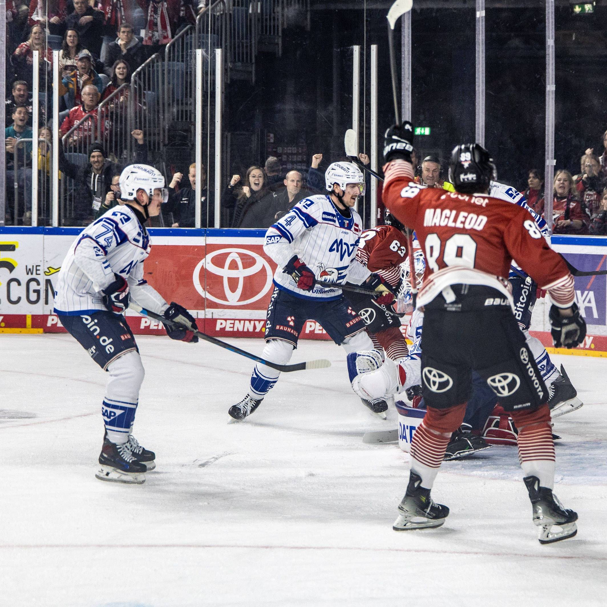 Tor für die Kölner Haie in der DEL.