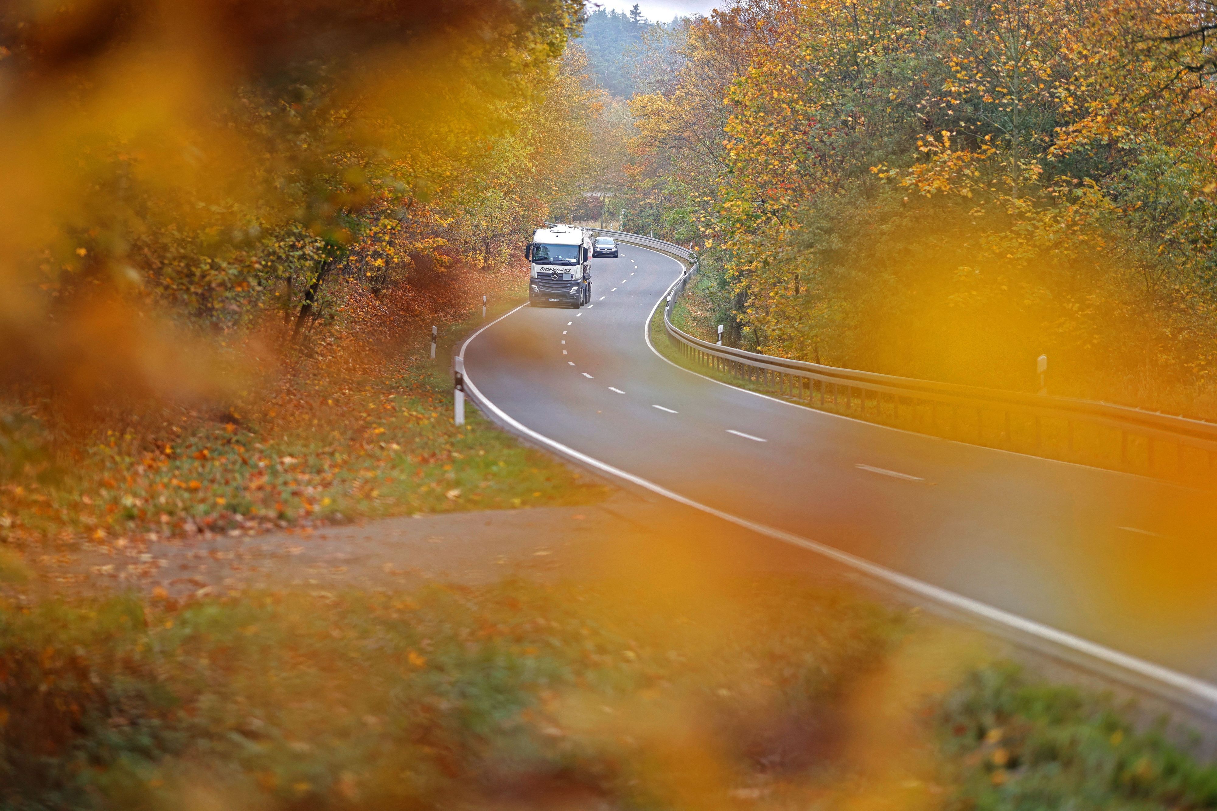 20.10.2026, Sachsen-Anhalt, Hüttenrode: Bäume mit gelb gefärbtem Herbstlaub leuchten zwischen Blankenburg und Hüttenrode. Das Herbstwetter im Harz zeigt sich von seiner schönsten Seite. Foto: Matthias Bein/dpa +++ dpa-Bildfunk +++