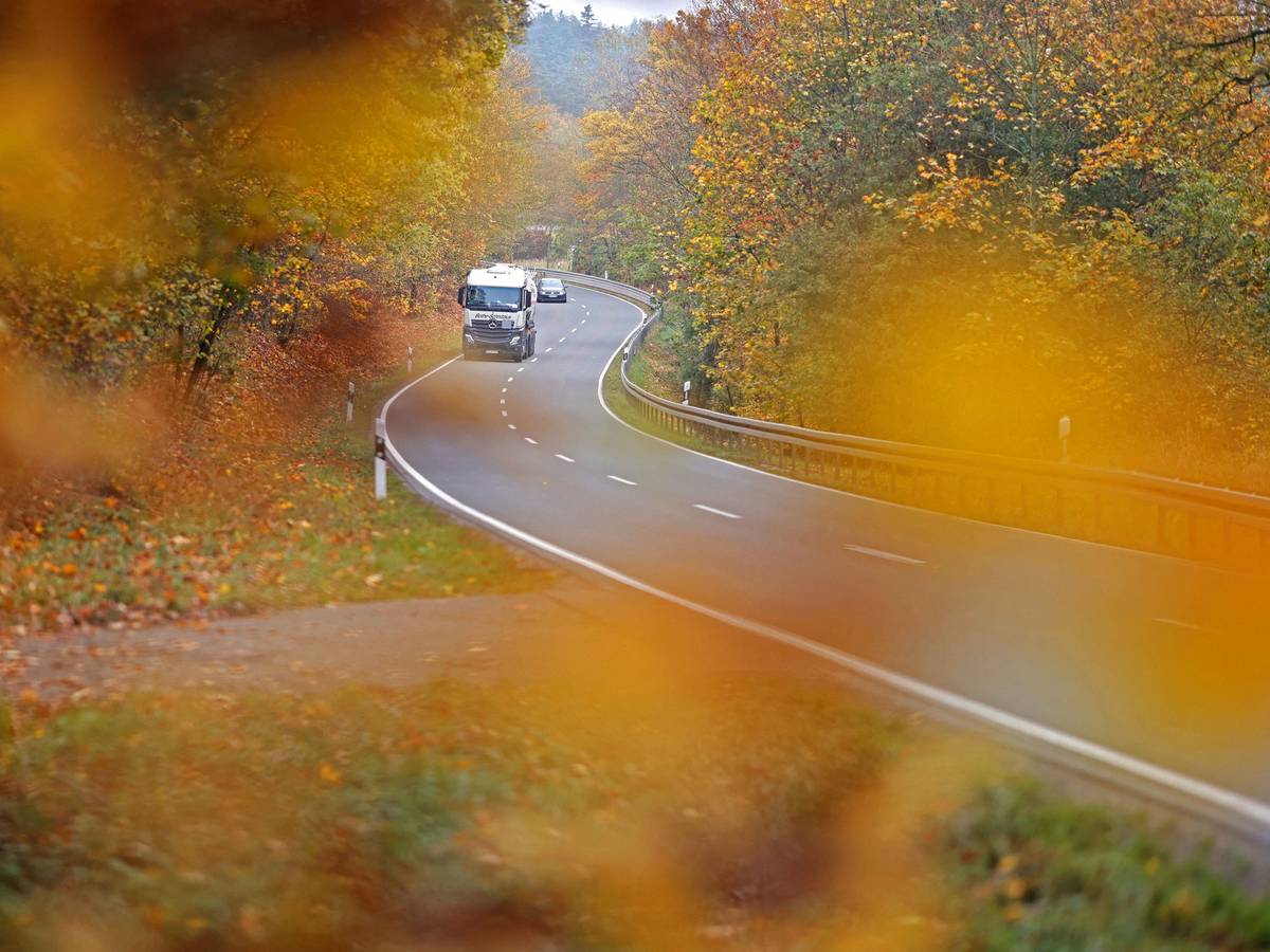 20.10.2026, Sachsen-Anhalt, Hüttenrode: Bäume mit gelb gefärbtem Herbstlaub leuchten zwischen Blankenburg und Hüttenrode. Das Herbstwetter im Harz zeigt sich von seiner schönsten Seite. Foto: Matthias Bein/dpa +++ dpa-Bildfunk +++