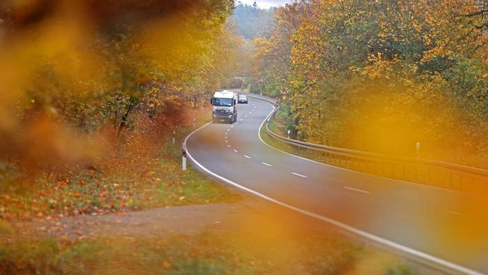 20.10.2026, Sachsen-Anhalt, Hüttenrode: Bäume mit gelb gefärbtem Herbstlaub leuchten zwischen Blankenburg und Hüttenrode. Das Herbstwetter im Harz zeigt sich von seiner schönsten Seite. Foto: Matthias Bein/dpa +++ dpa-Bildfunk +++