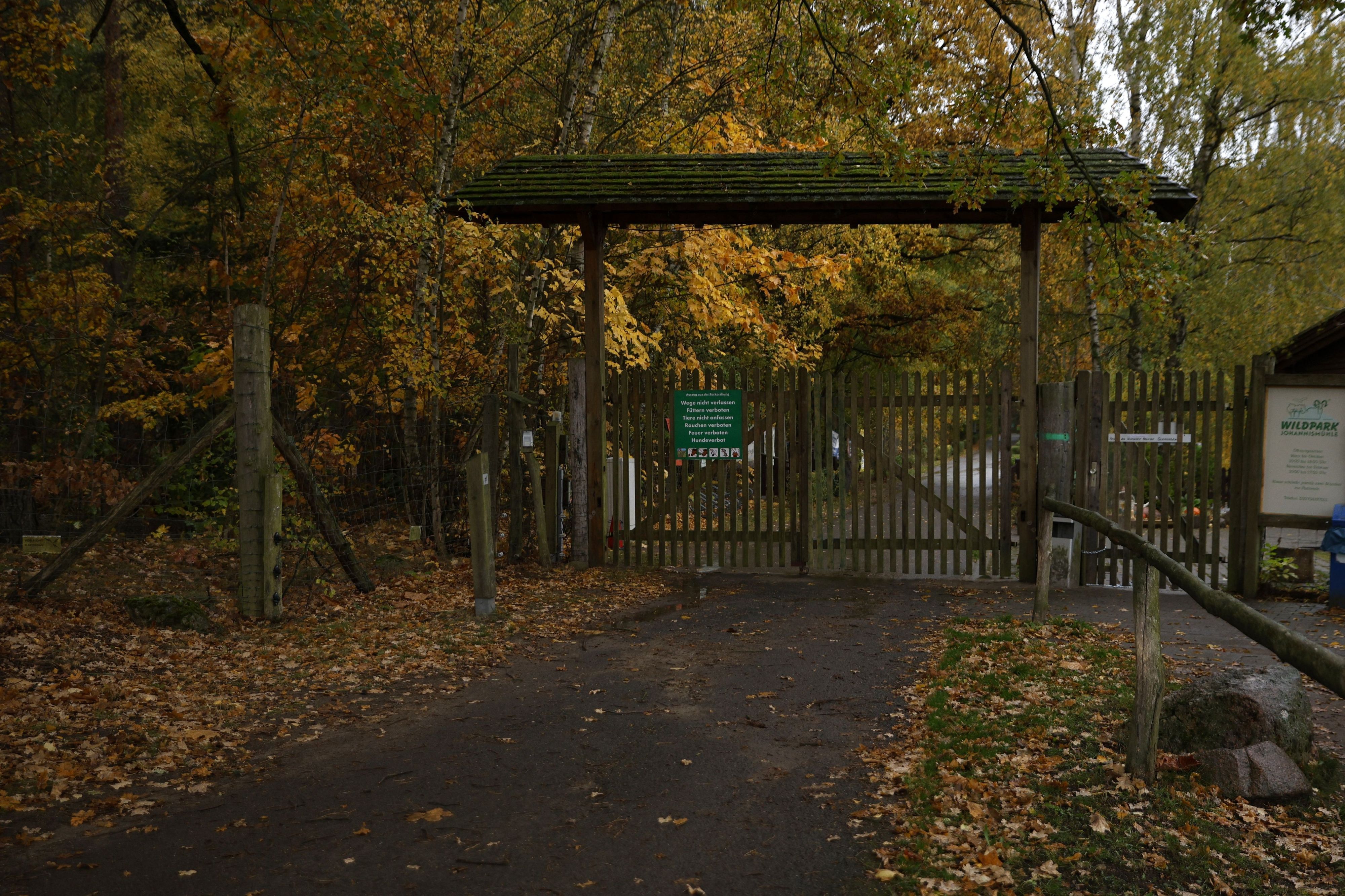28.10.2026, Brandenburg, Baruth: Blick auf den Eingangsbereich zum Wildpark Johannismühle. Ein Kind ist bei der Attacke eines oder mehrerer Tiere im brandenburgischen Wildpark Johannismühle schwer verletzt worden. Foto: Carsten Koall/dpa +++ dpa-Bildfunk +++