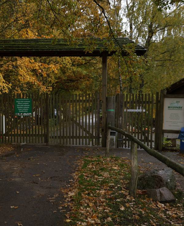 28.10.2026, Brandenburg, Baruth: Blick auf den Eingangsbereich zum Wildpark Johannismühle. Ein Kind ist bei der Attacke eines oder mehrerer Tiere im brandenburgischen Wildpark Johannismühle schwer verletzt worden. Foto: Carsten Koall/dpa +++ dpa-Bildfunk +++