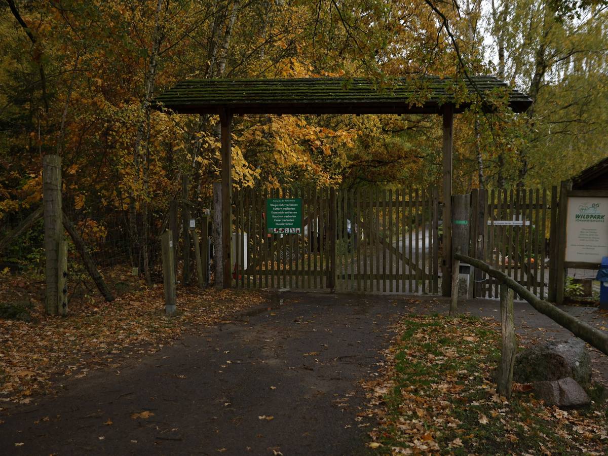 28.10.2026, Brandenburg, Baruth: Blick auf den Eingangsbereich zum Wildpark Johannismühle. Ein Kind ist bei der Attacke eines oder mehrerer Tiere im brandenburgischen Wildpark Johannismühle schwer verletzt worden. Foto: Carsten Koall/dpa +++ dpa-Bildfunk +++