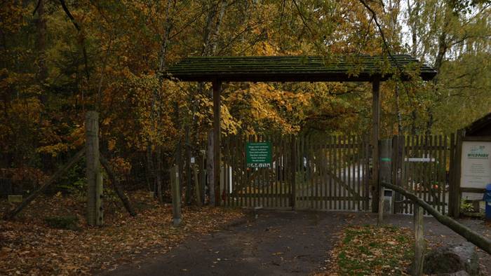 28.10.2026, Brandenburg, Baruth: Blick auf den Eingangsbereich zum Wildpark Johannismühle. Ein Kind ist bei der Attacke eines oder mehrerer Tiere im brandenburgischen Wildpark Johannismühle schwer verletzt worden. Foto: Carsten Koall/dpa +++ dpa-Bildfunk +++