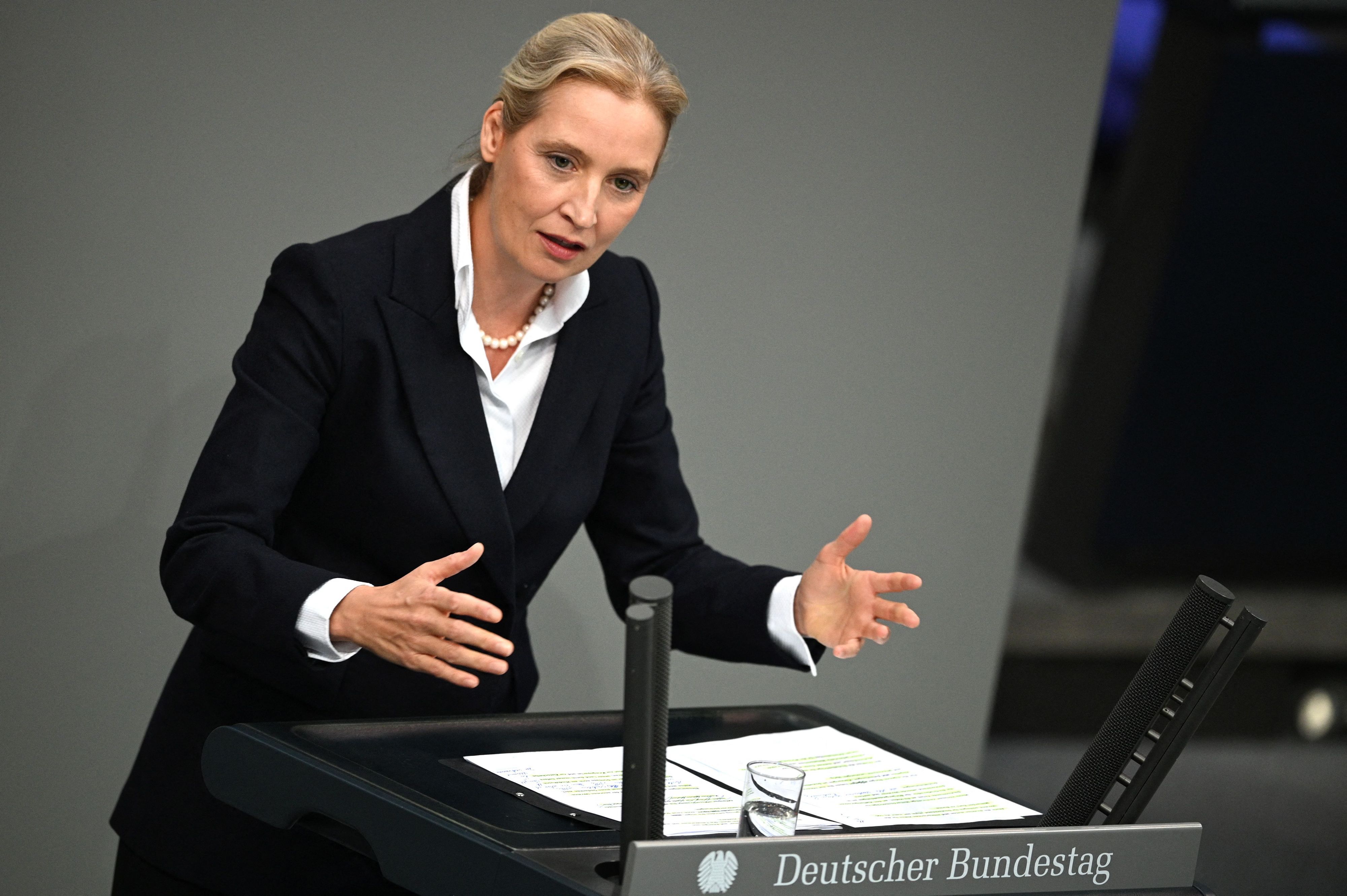 02.01.2020, Berlin: Alice Weidel, Bundesvorsitzende und Fraktionsvorsitzende der AfD, spricht im Plenarsaal im Bundestag bei einer Aussprache zum Europäischen Rat.