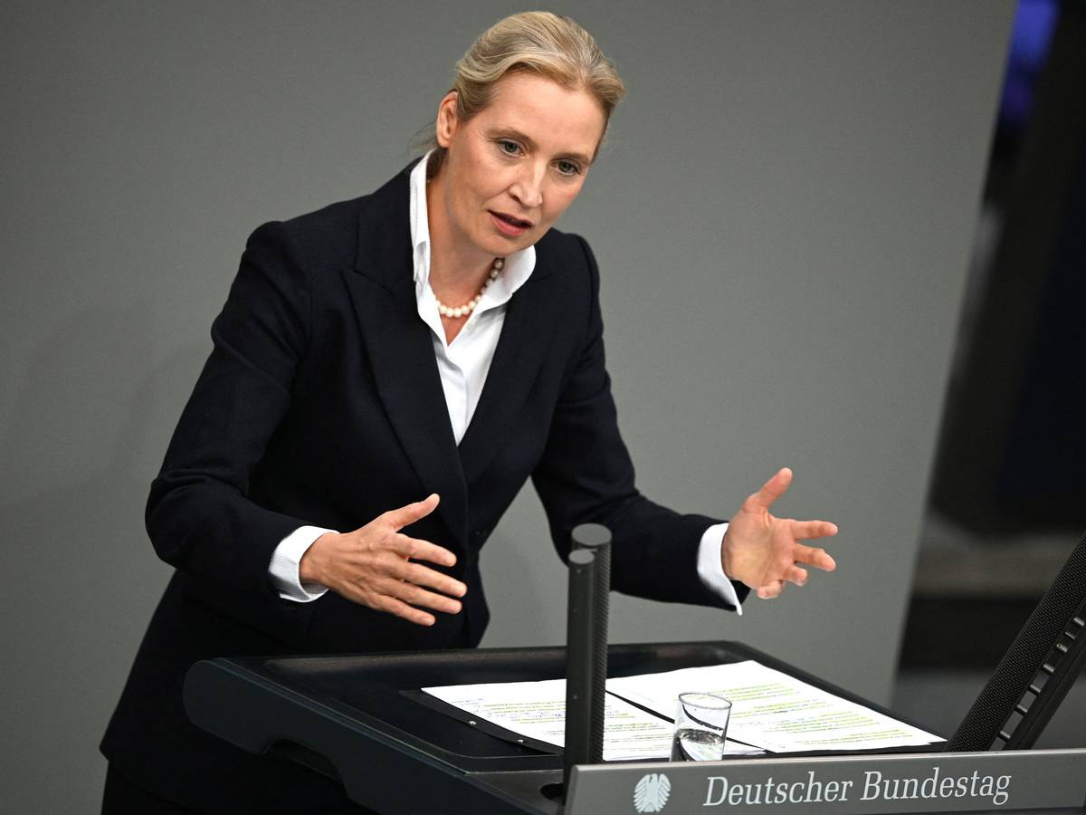 02.01.2020, Berlin: Alice Weidel, Bundesvorsitzende und Fraktionsvorsitzende der AfD, spricht im Plenarsaal im Bundestag bei einer Aussprache zum Europäischen Rat.