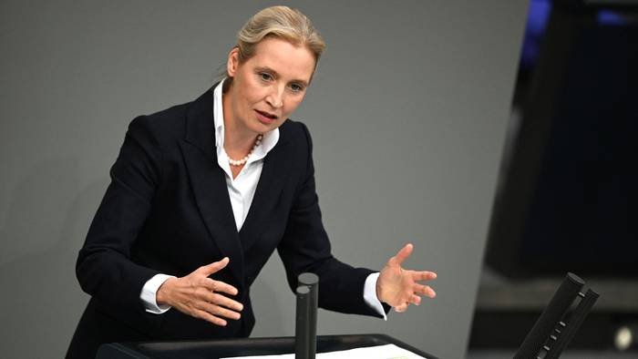 02.01.2020, Berlin: Alice Weidel, Bundesvorsitzende und Fraktionsvorsitzende der AfD, spricht im Plenarsaal im Bundestag bei einer Aussprache zum Europäischen Rat.