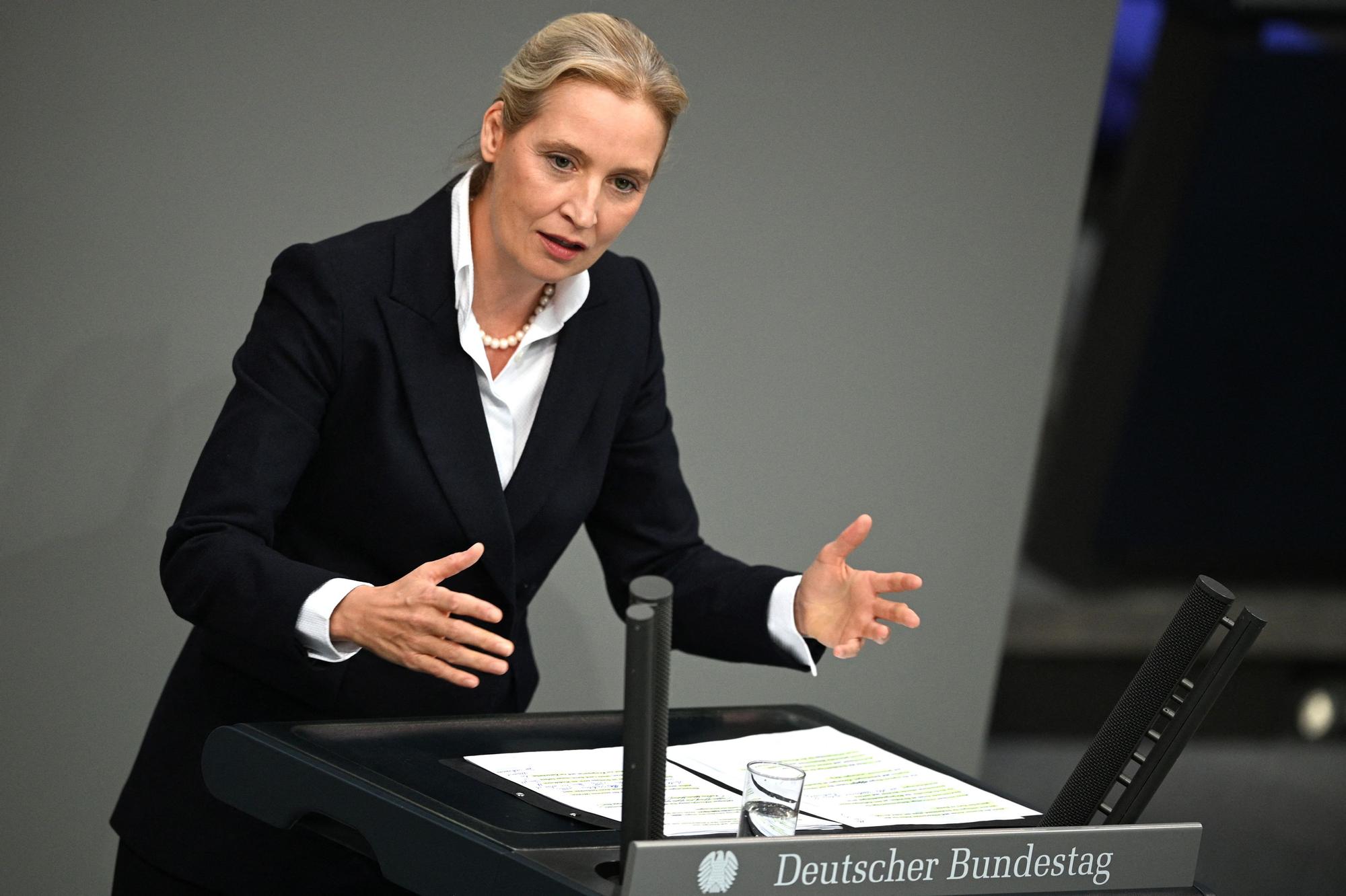 02.01.2020, Berlin: Alice Weidel, Bundesvorsitzende und Fraktionsvorsitzende der AfD, spricht im Plenarsaal im Bundestag bei einer Aussprache zum Europäischen Rat.