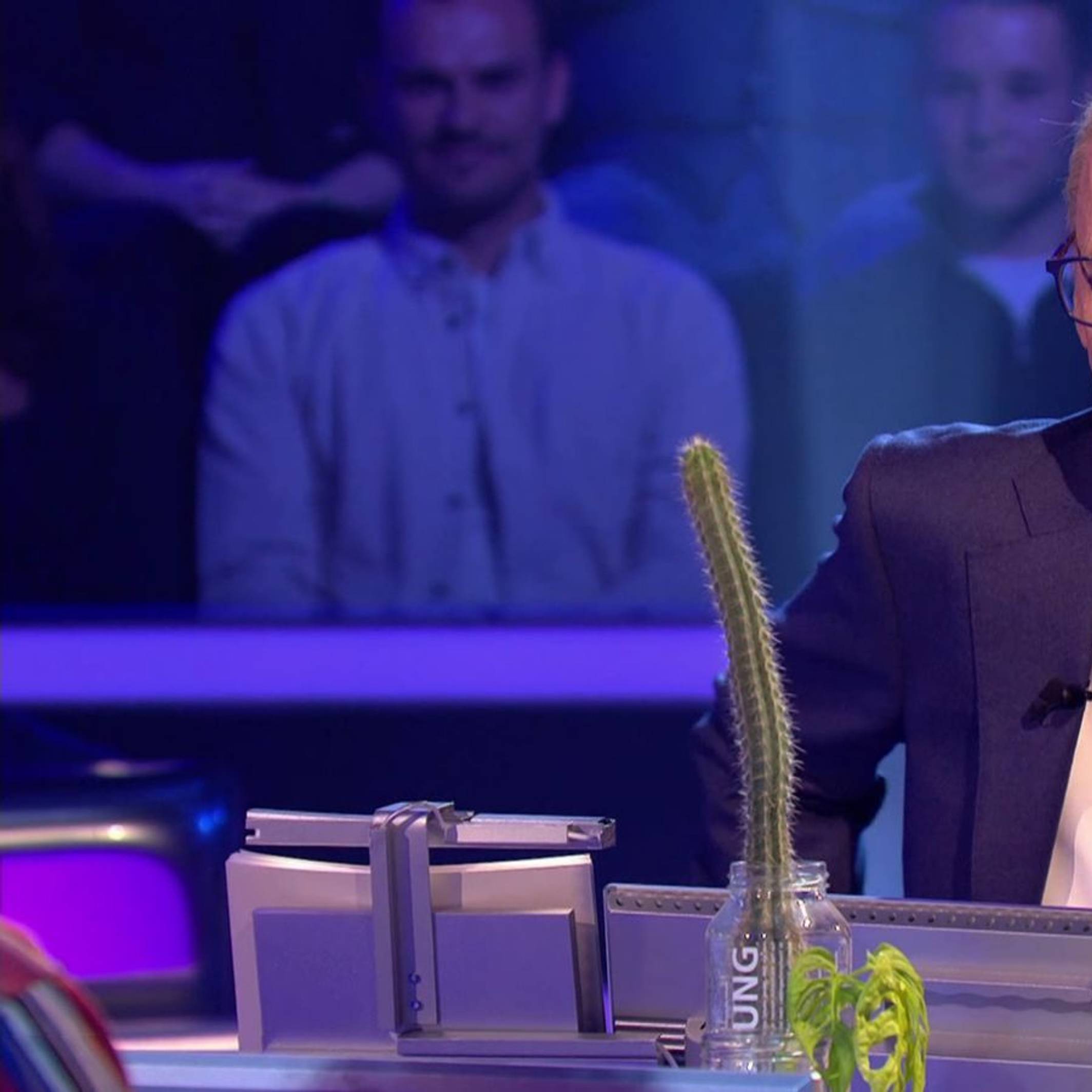 Ein gar nicht mal so kleiner grüner Kaktus stand jahrelang nicht draußen am Balkon, sondern in der Herrentoilette im „Wer wird Millionär?“-Studio. Das irritierte Quizmaster Günther Jauch. (Bild: RTL)