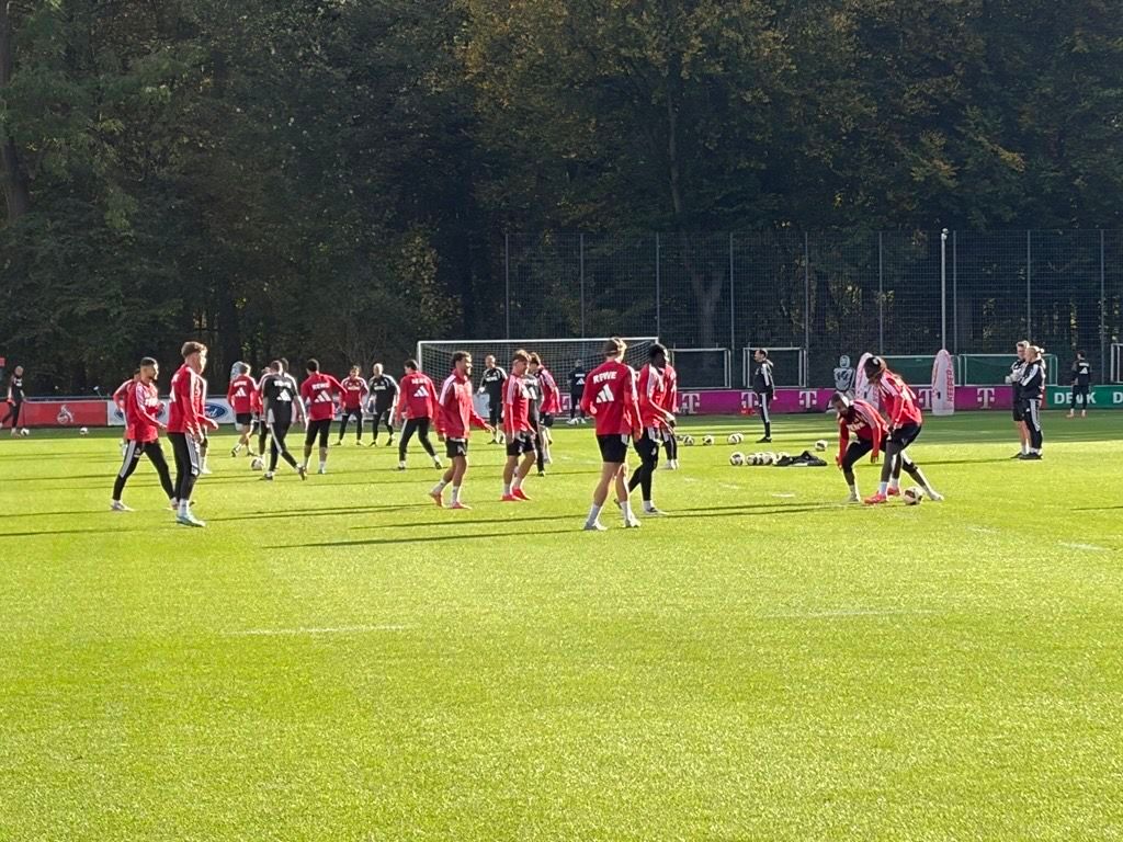 Die FC-Profis auf dem Trainingsplatz am Geißbockheim.