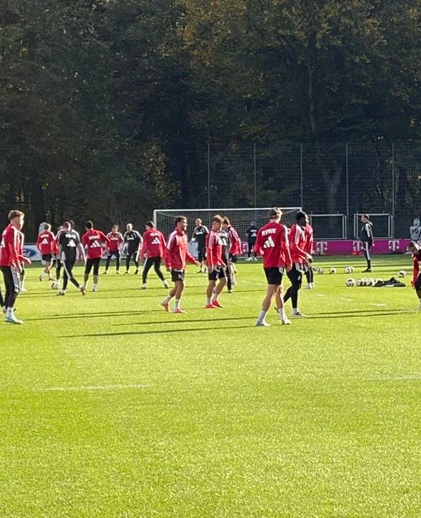 Die FC-Profis auf dem Trainingsplatz am Geißbockheim.