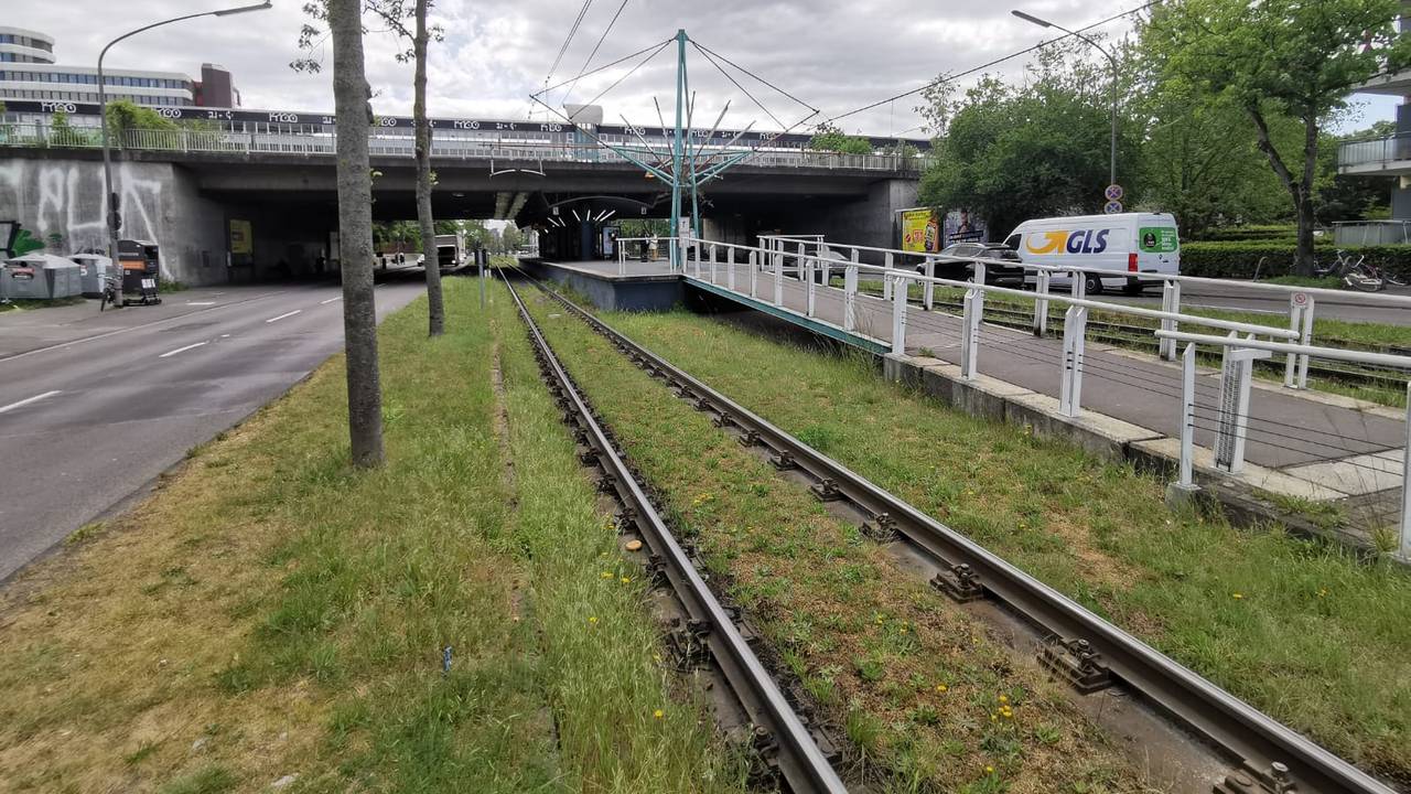 Die KVB-Haltestelle Amsterdamer Straße.