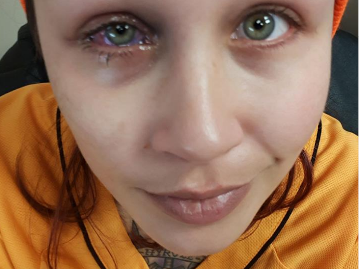 Model_Catt_Gallinger