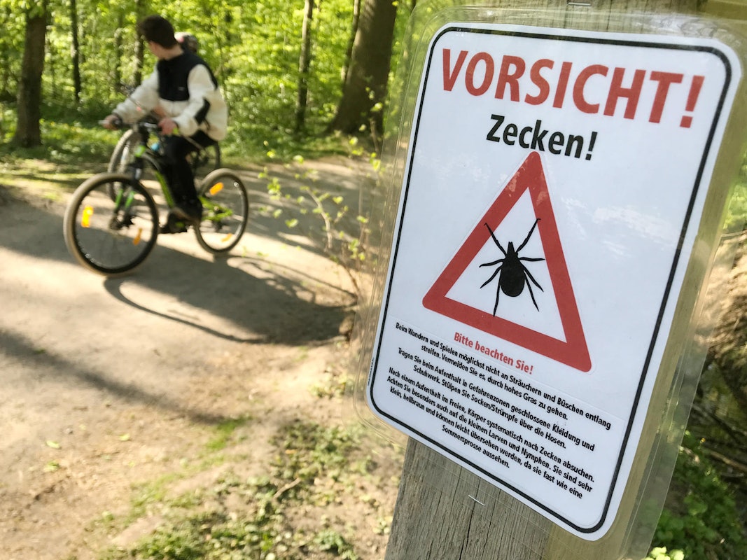 Ein Schild warnt in einem Wald vor Zecken.