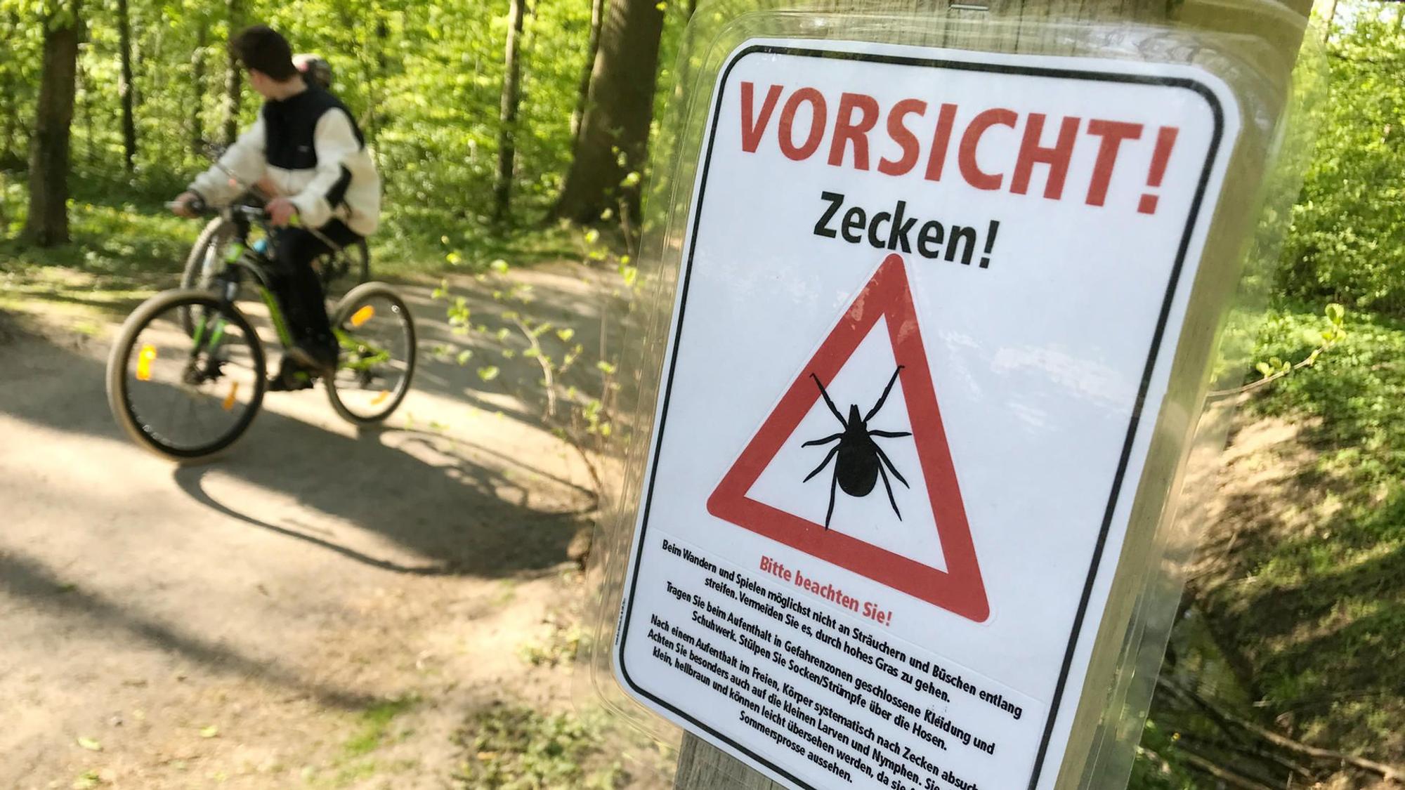 Ein Schild warnt in einem Wald vor Zecken.