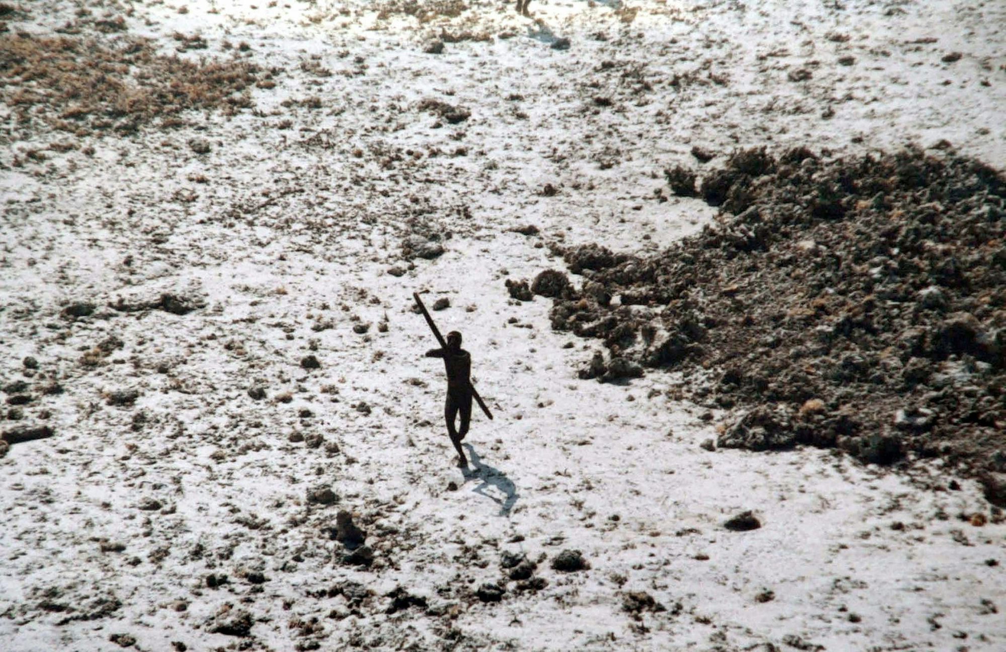Ein Einwohner der Sentinel-Insel