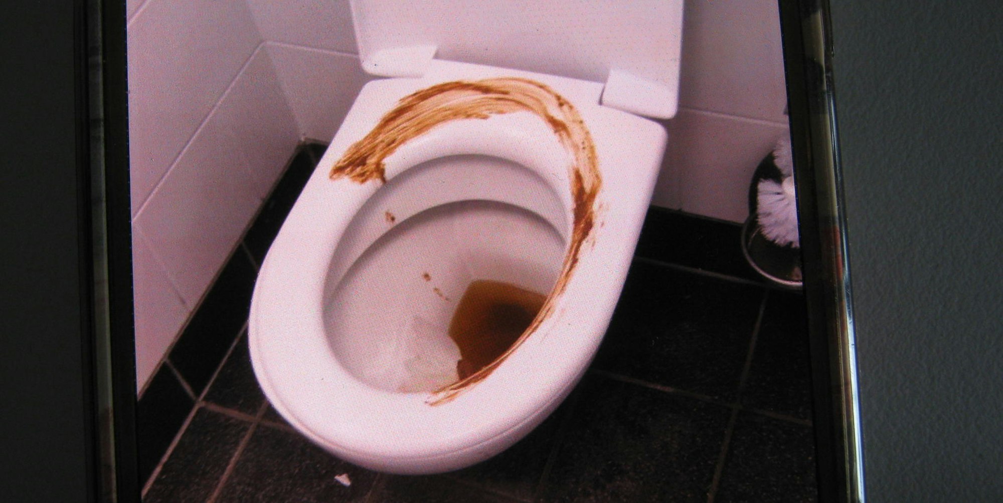2019_WC_Fotos_Verunreinigungen.pdf_Seite_7