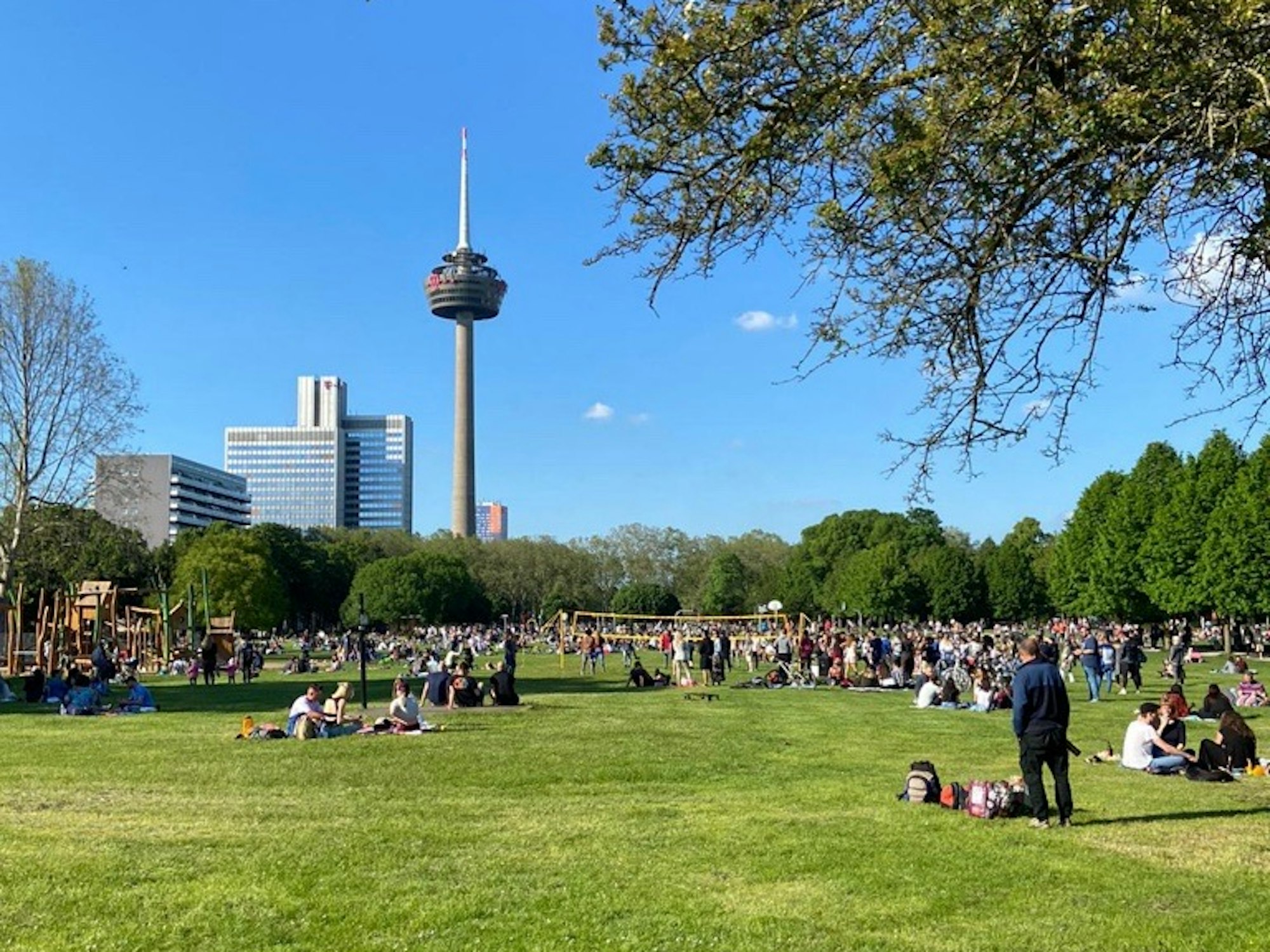 Menschen sitzen und stehen auf einer großen Rasenfläche, die von Bäumen umgeben ist. Im Hintergrund sieht man einen Fernsehturm und drei Hochhäuser.