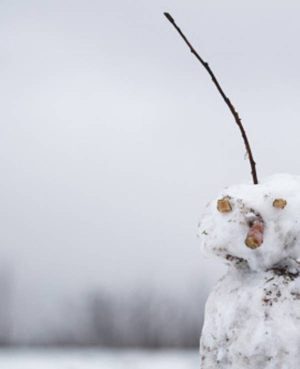 Ein Schneemann hat als Haare einen Ast auf dem Kopf.