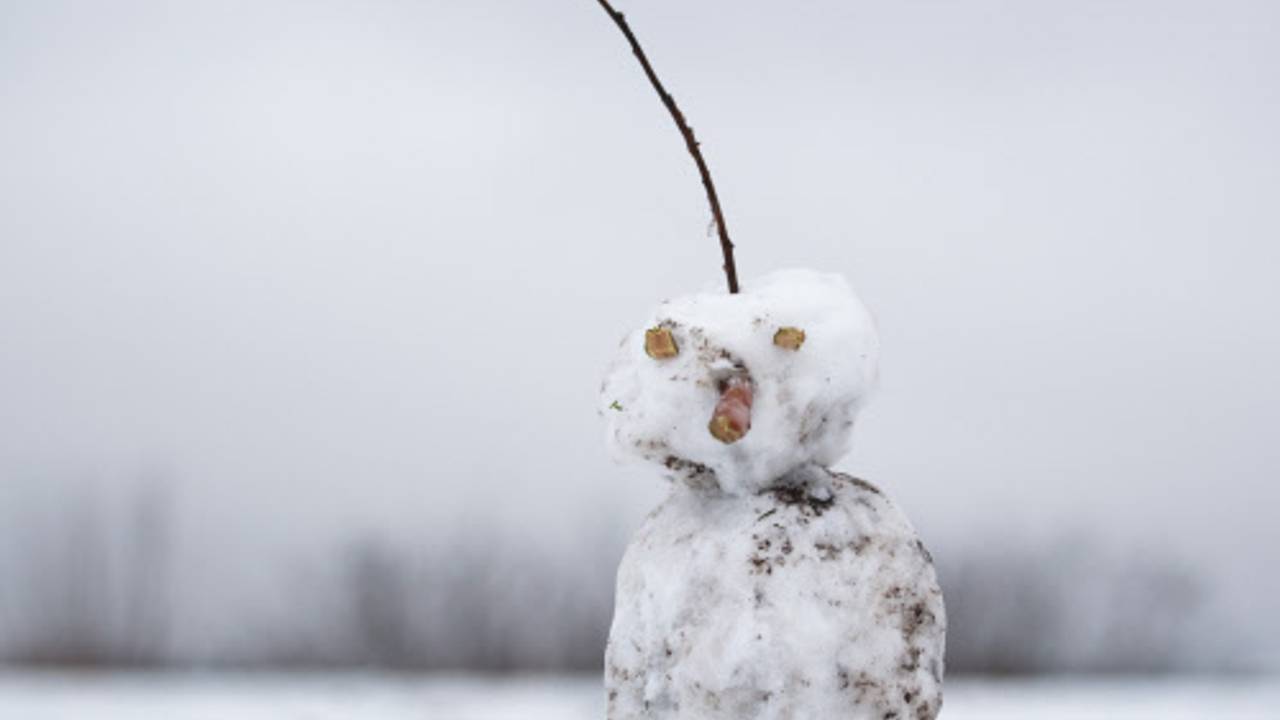 Ein Schneemann hat als Haare einen Ast auf dem Kopf.