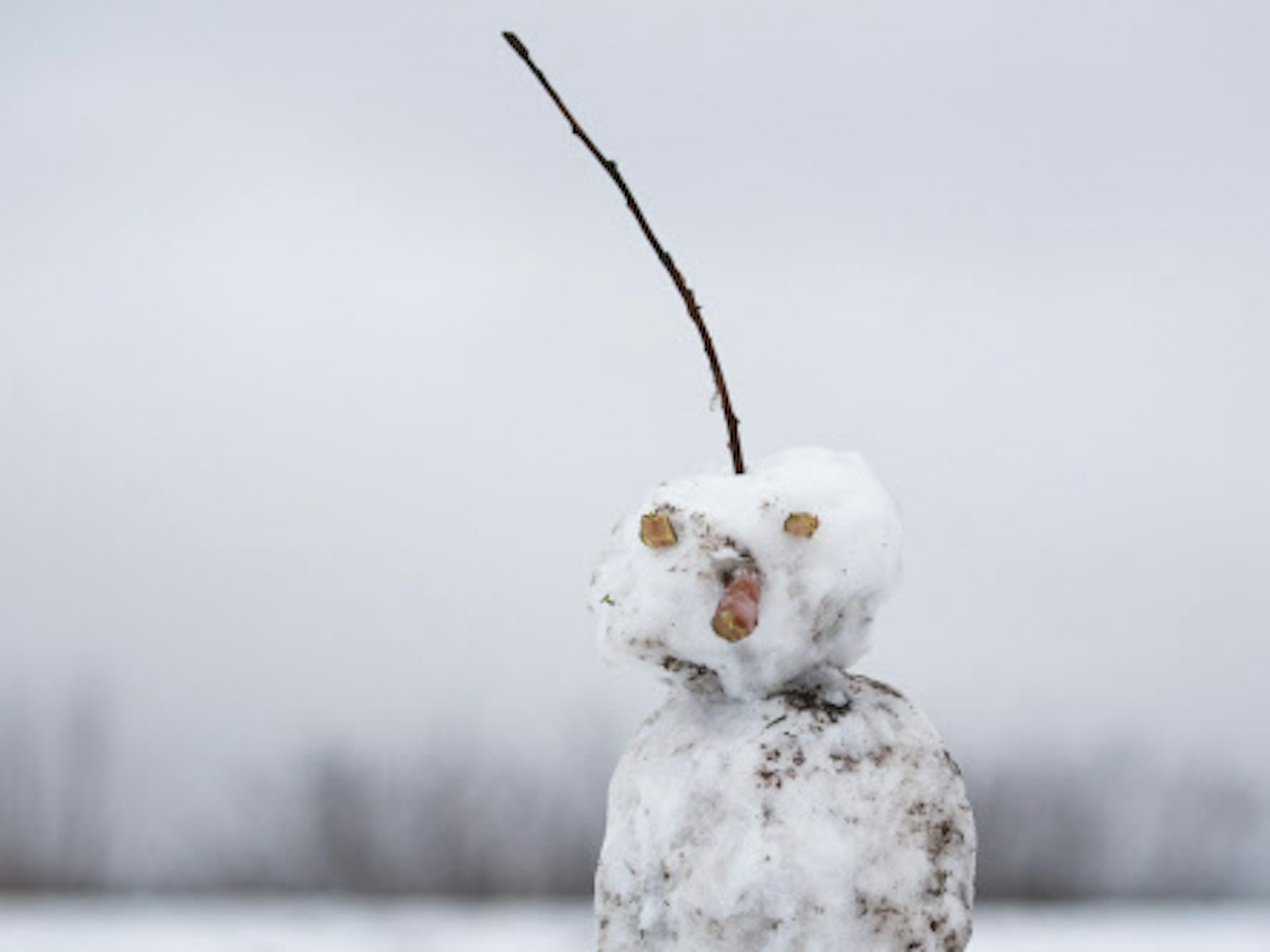 Ein Schneemann