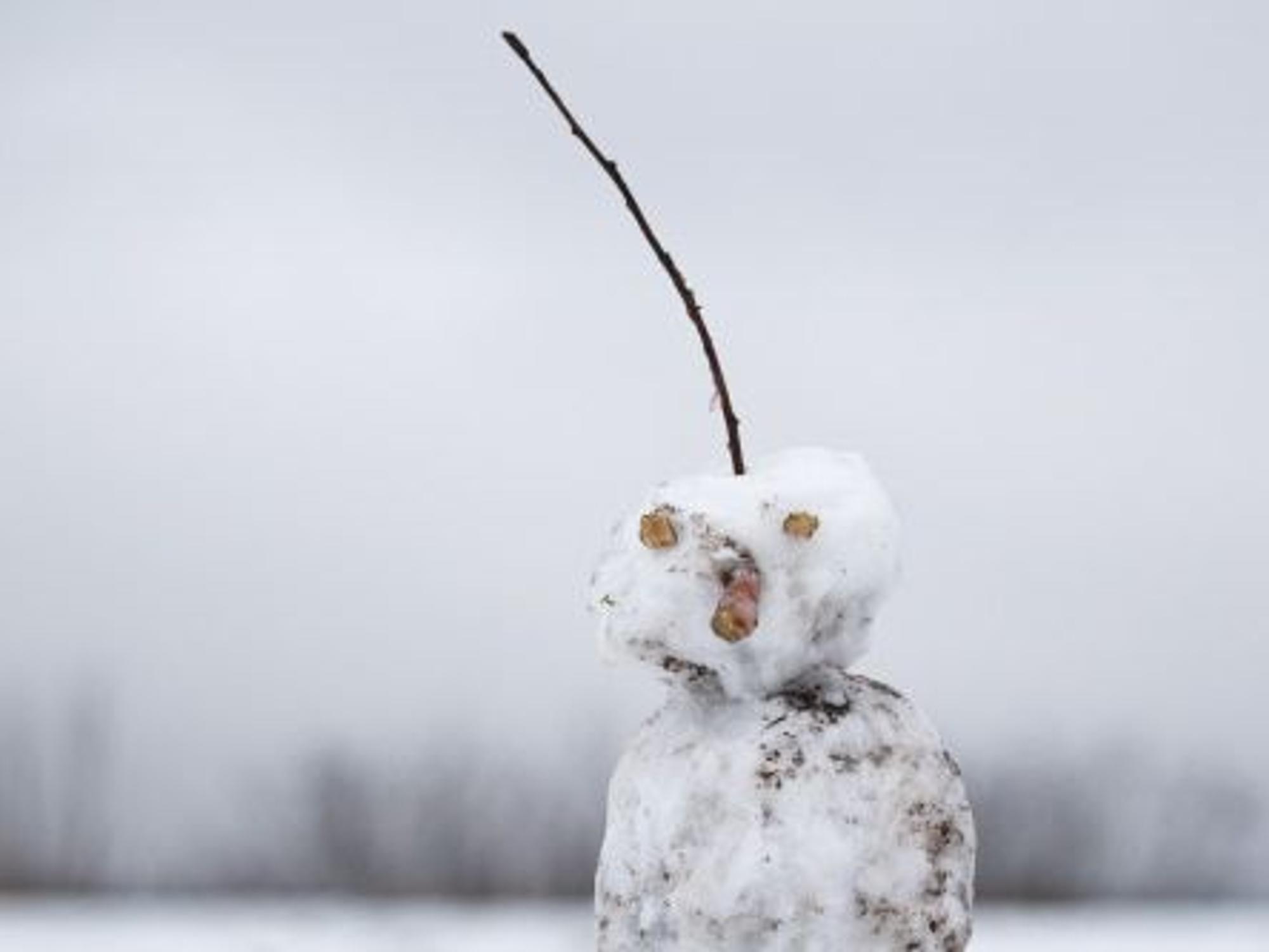Ein Schneemann